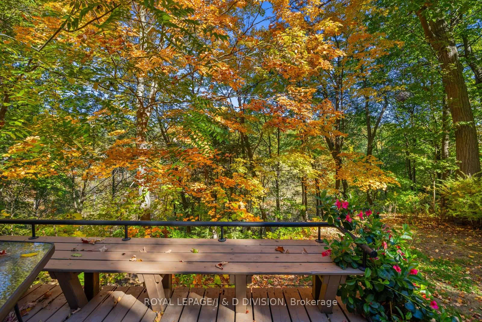 Photo 36 of 183 Hudson Drive, Toronto, Rosedale-Moore Park — HOMEH
