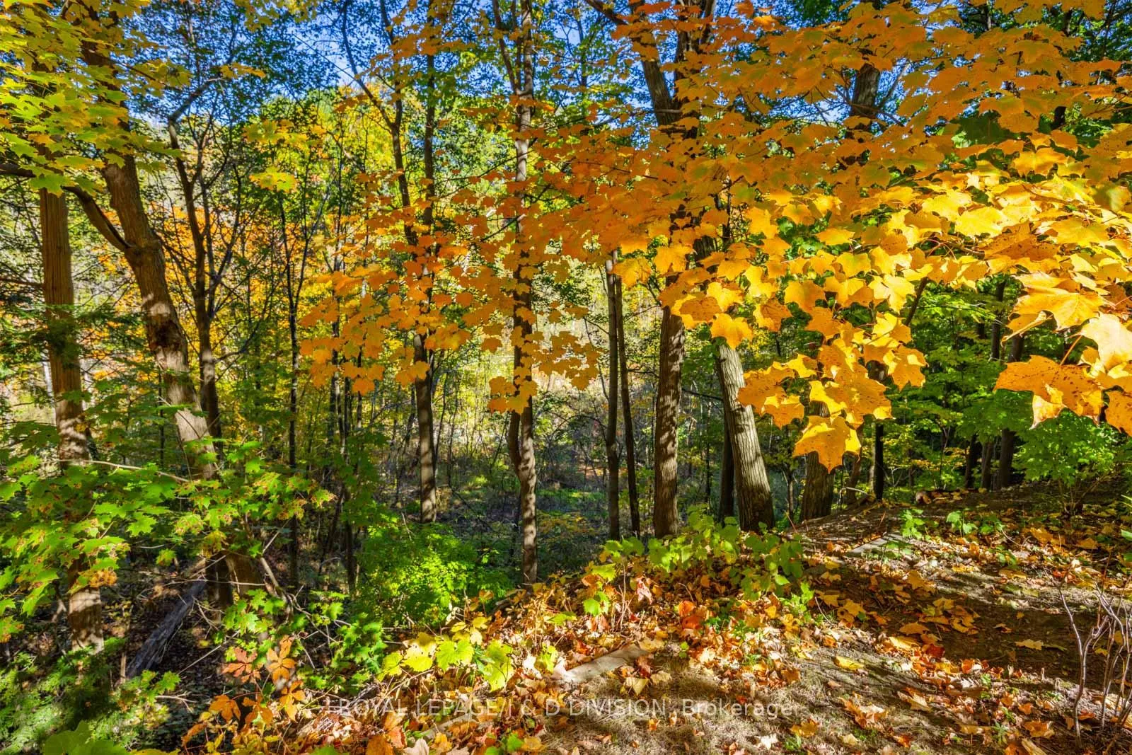 Photo 38 of 183 Hudson Drive, Toronto, Rosedale-Moore Park — HOMEH