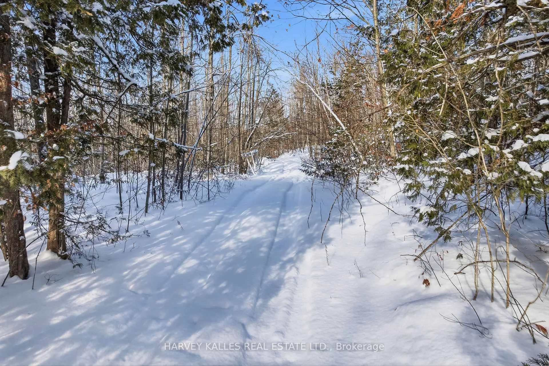 Photo 11 of 3020 Finley Road, Selwyn — HOMEH
