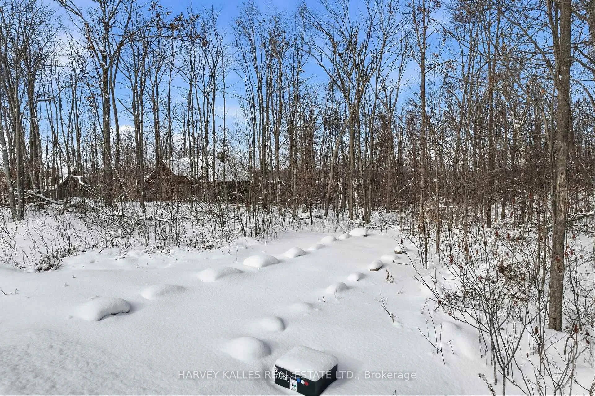Photo 17 of 3020 Finley Road, Selwyn — HOMEH