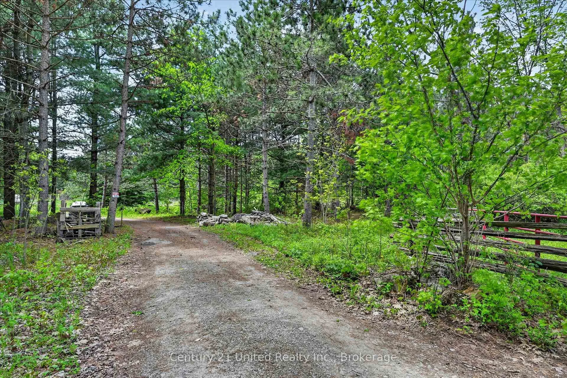 Photo 5 of 354B Marble Point Road, Marmora and Lake, Marmora Ward — HOMEH