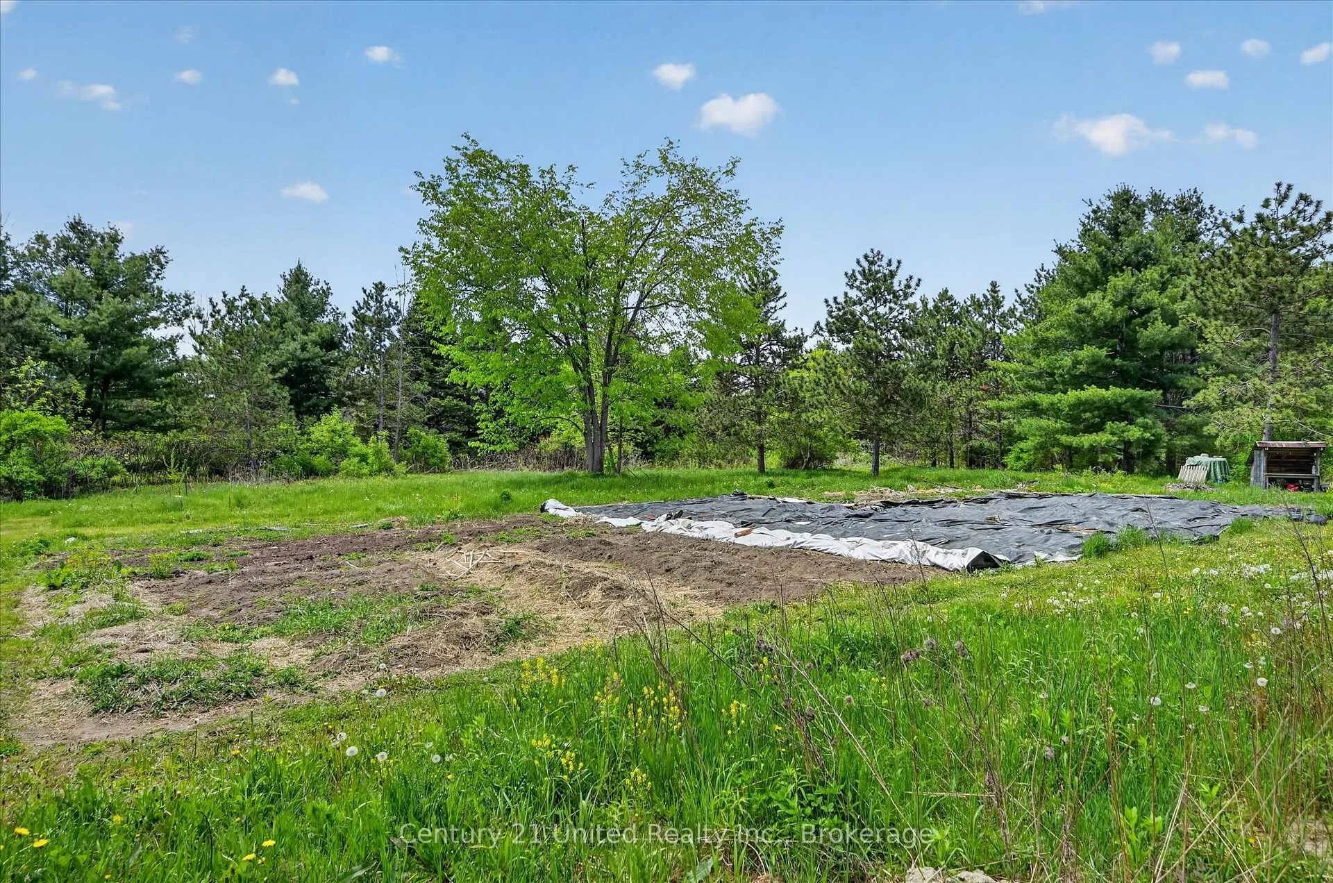 Photo 11 of 354B Marble Point Road, Marmora and Lake, Marmora Ward — HOMEH