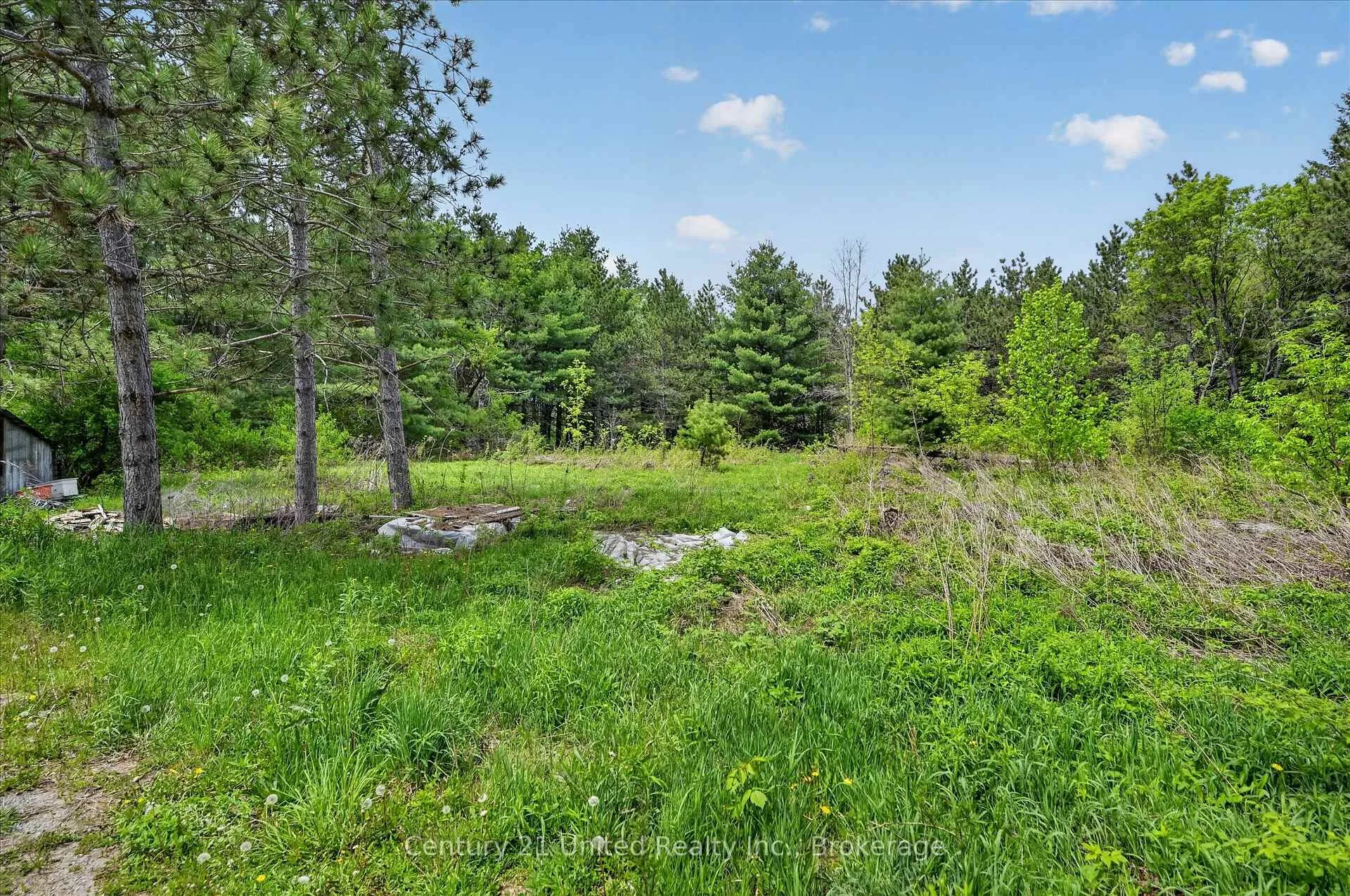 Photo 13 of 354B Marble Point Road, Marmora and Lake, Marmora Ward — HOMEH
