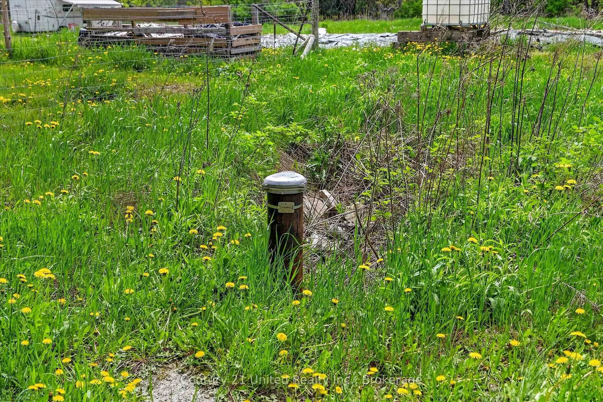 Photo 14 of 354B Marble Point Road, Marmora and Lake, Marmora Ward — HOMEH