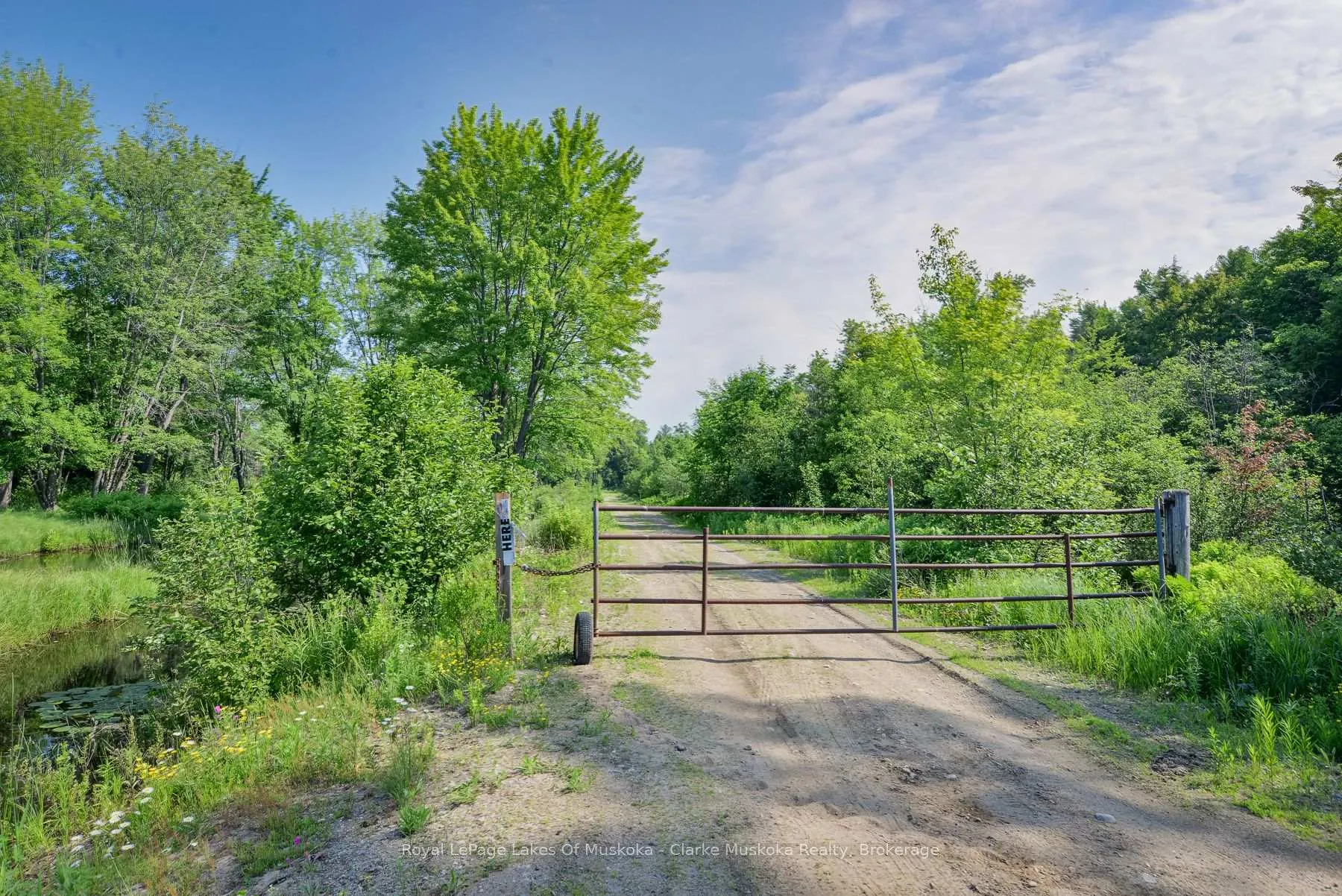 Photo 1 of 20 Elderberry Lane, Gravenhurst, Morrison — HOMEH