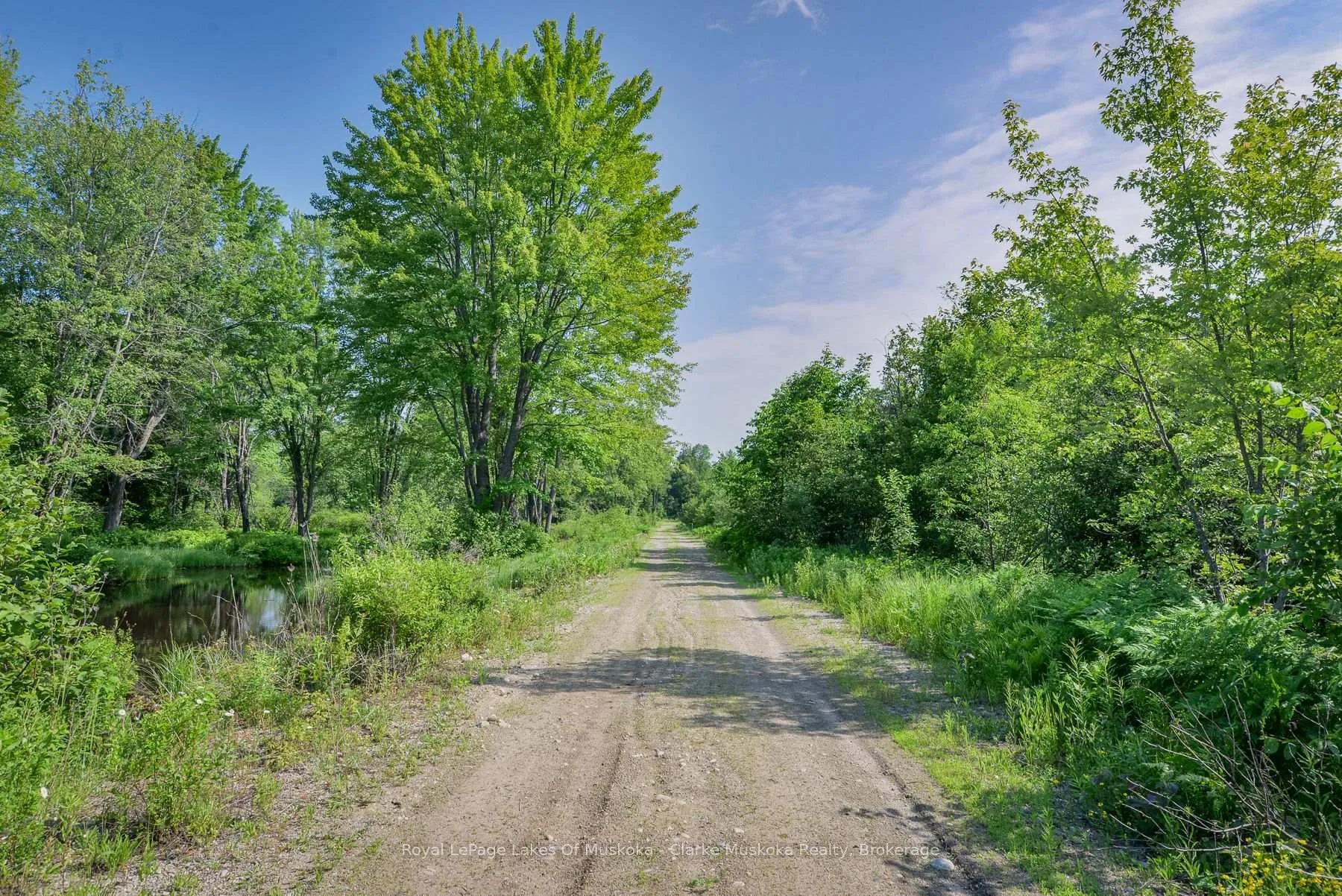 Photo 2 of 20 Elderberry Lane, Gravenhurst, Morrison — HOMEH