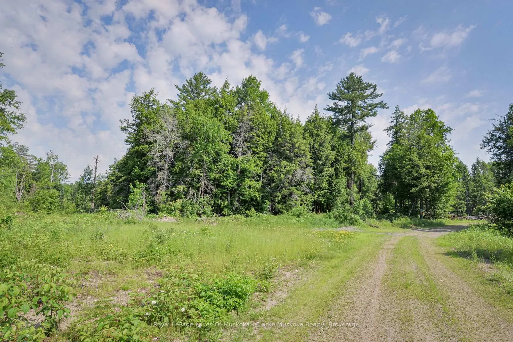 Photo 3 of 20 Elderberry Lane, Gravenhurst, Morrison — HOMEH