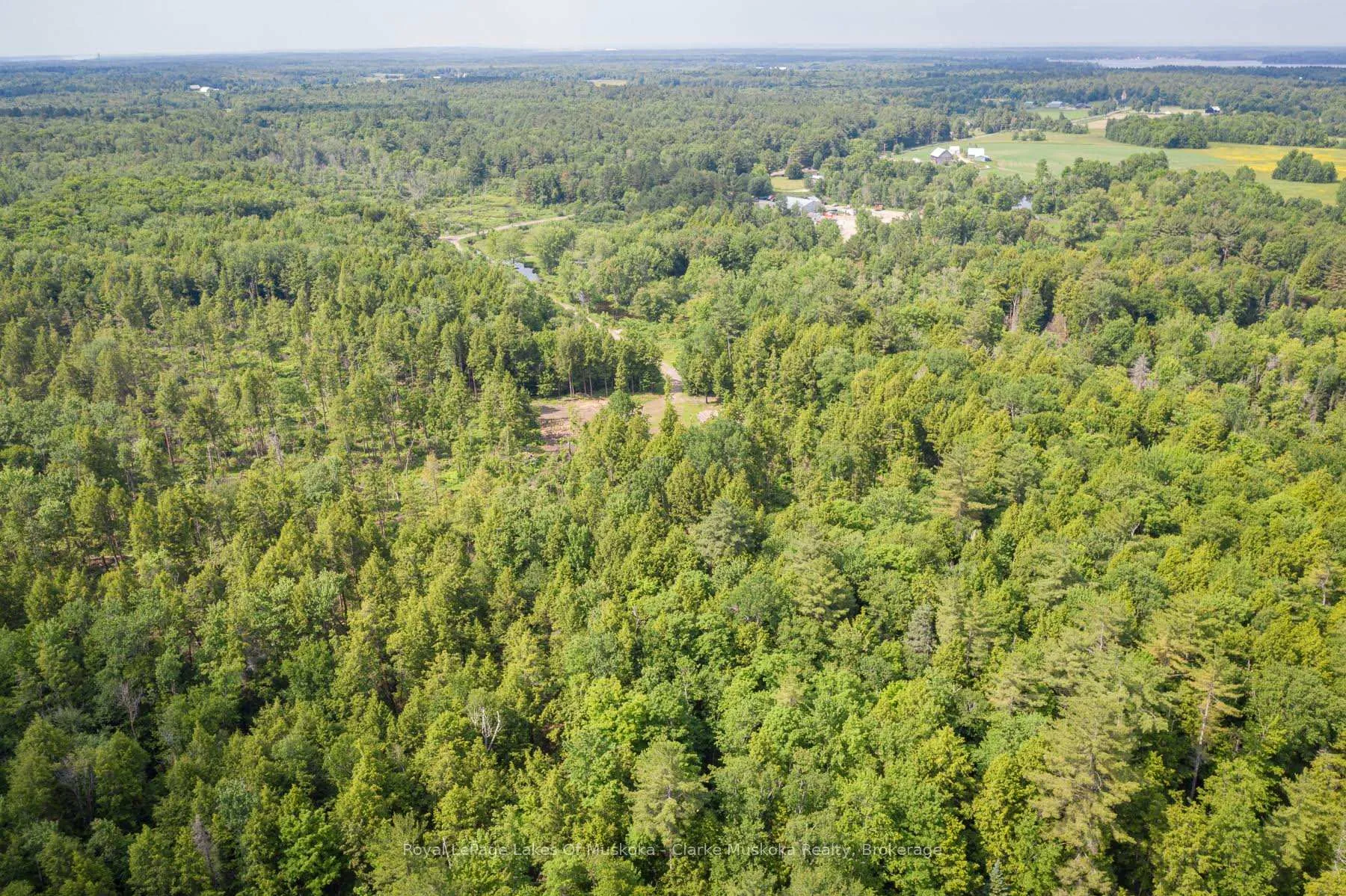 Photo 5 of 20 Elderberry Lane, Gravenhurst, Morrison — HOMEH