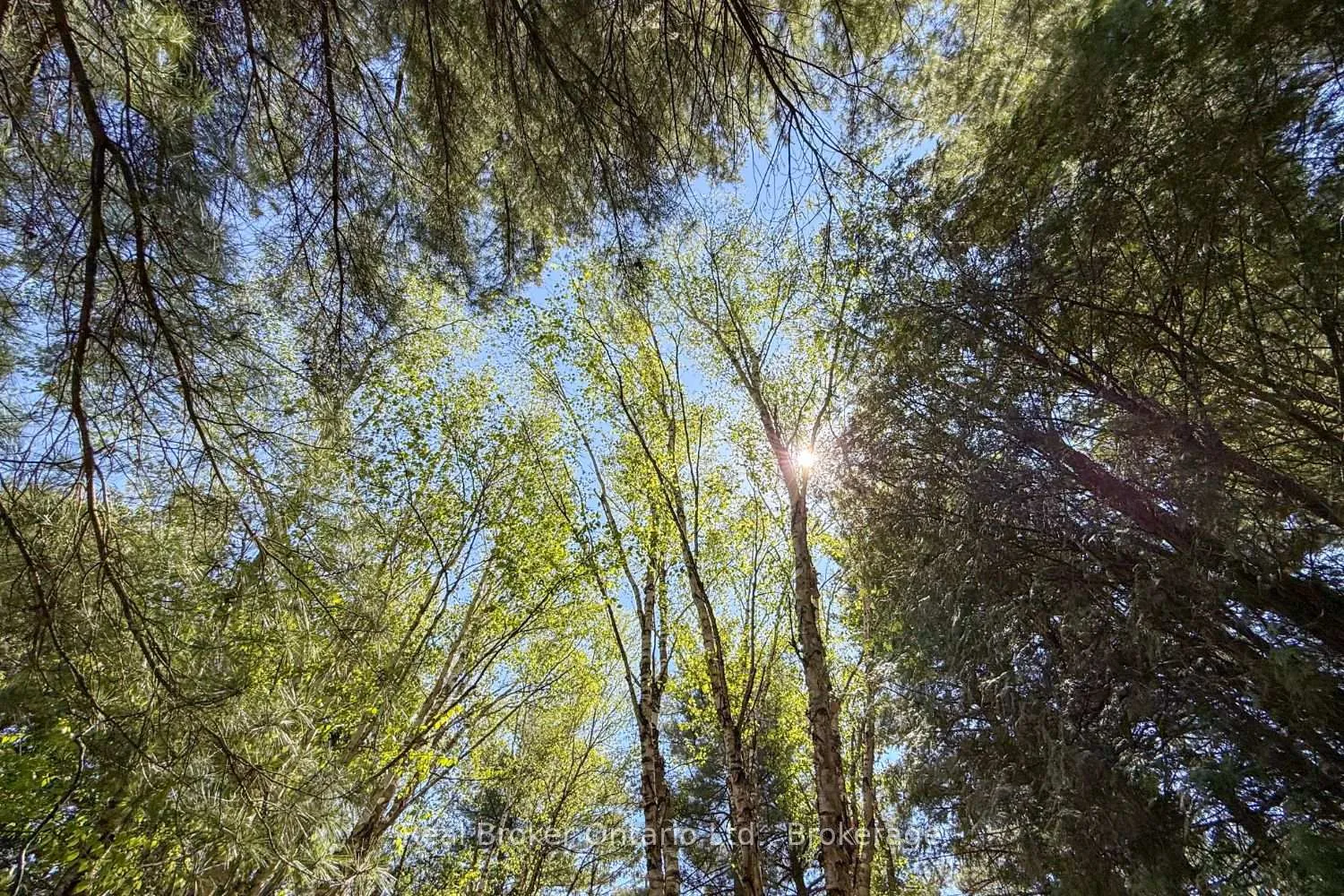 Photo 45 of 4301 Squair Road, Clarington, Rural Clarington — HOMEH