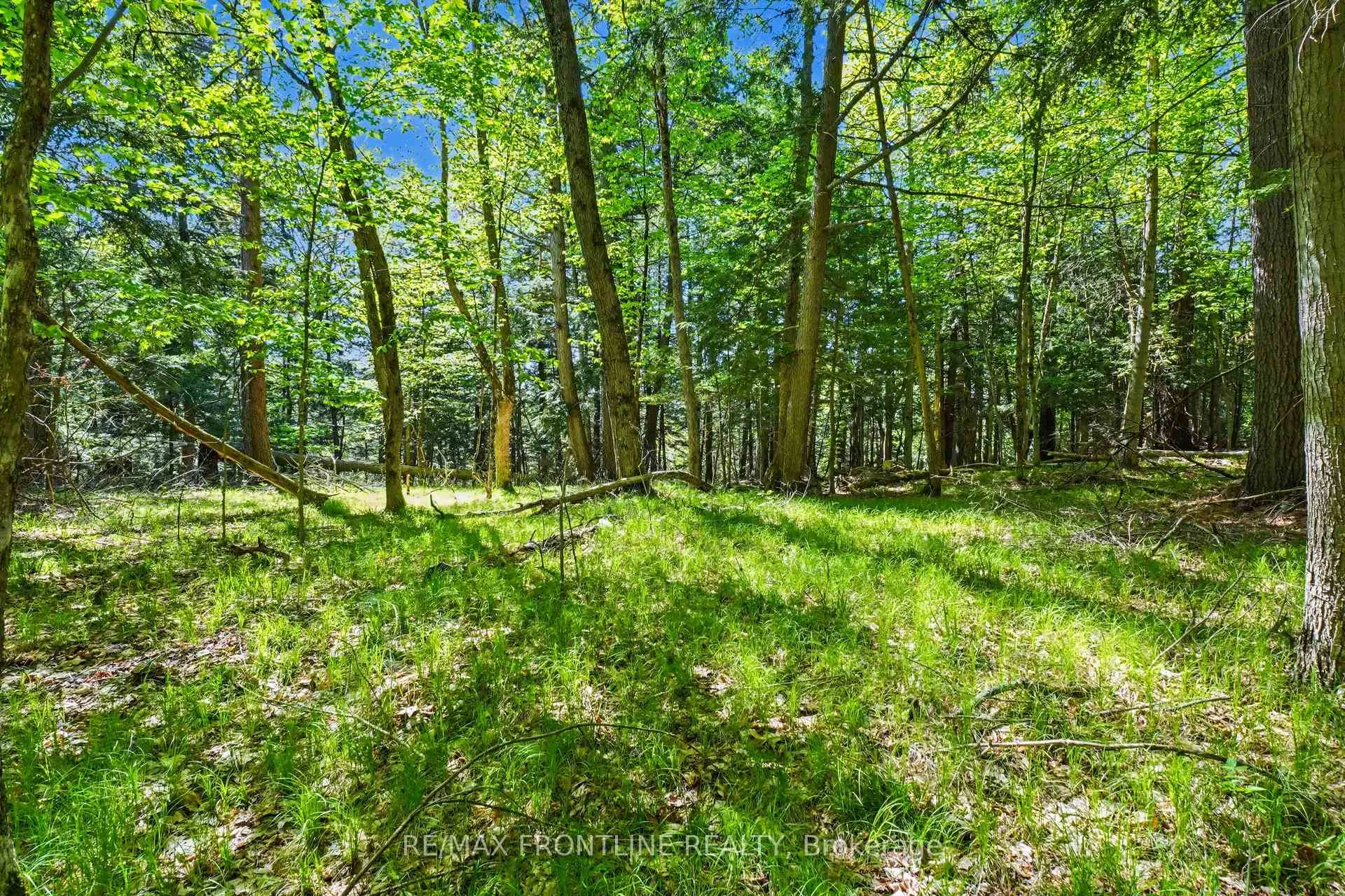 Photo 5 of Healey Drive, Drummond/North Elmsley, Drummond/North Elmsley (North Elmsley) Twp — HOMEH