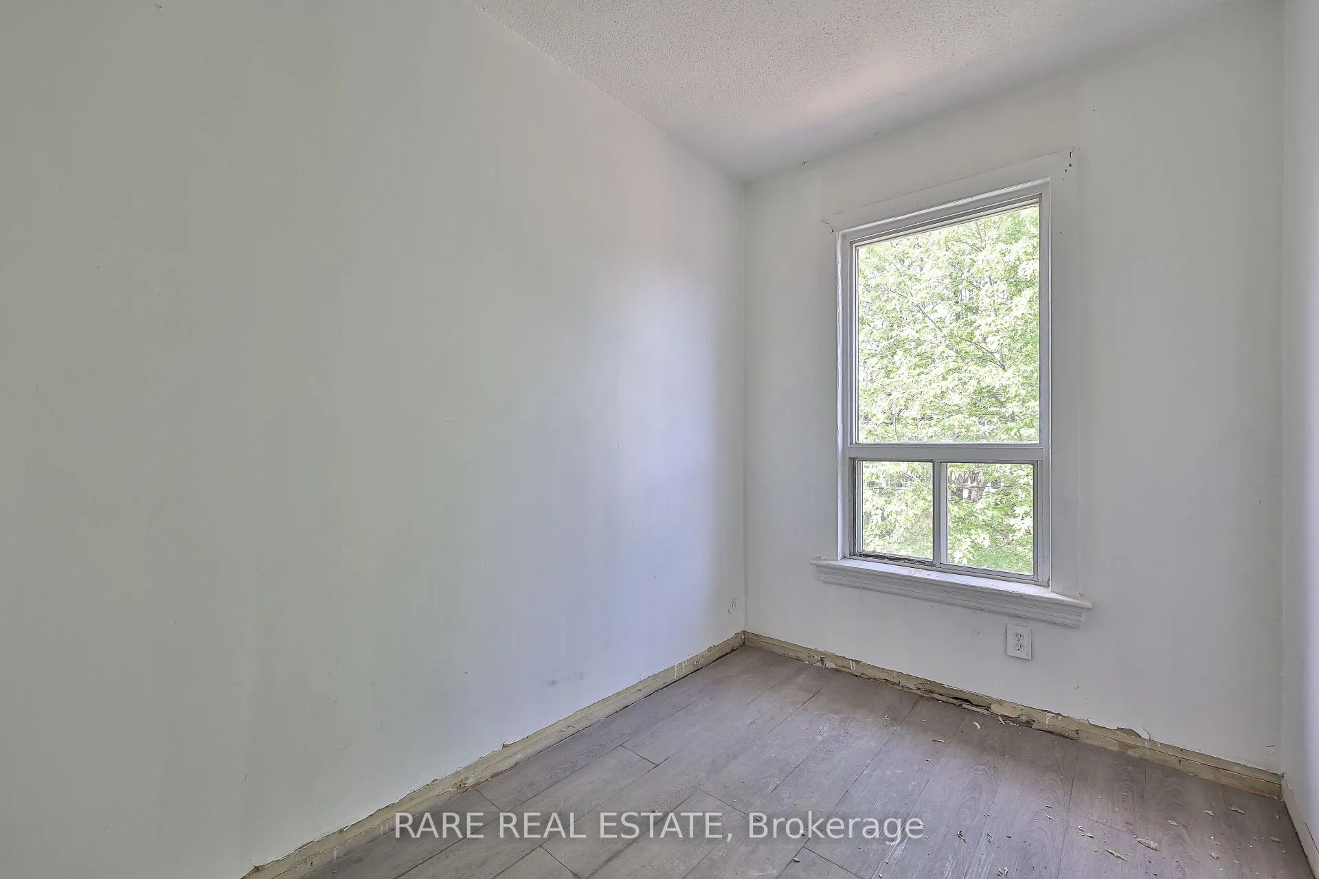Photo 14 of 21 Chestnut Avenue, Hamilton, Central — HOMEH