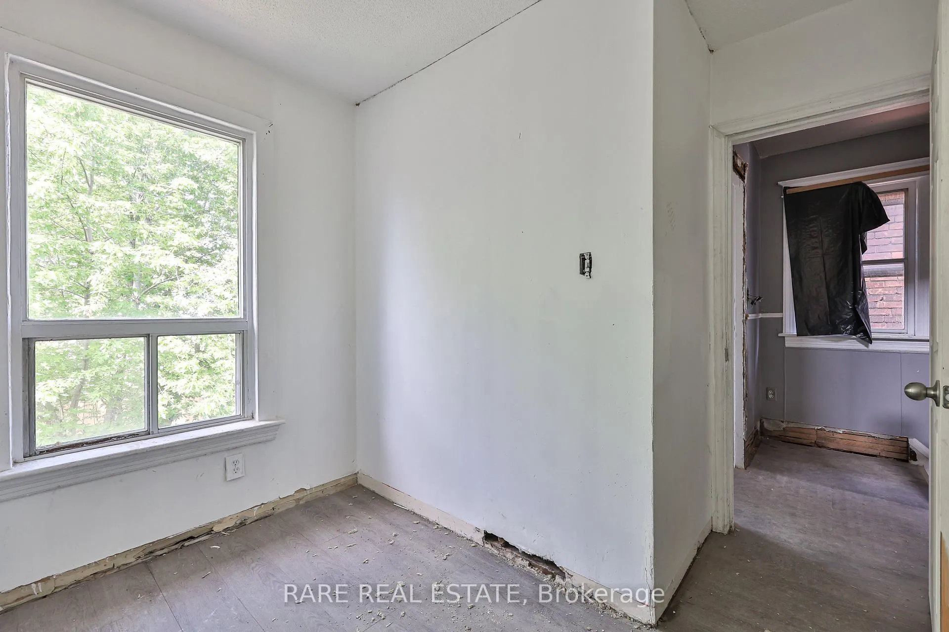 Photo 15 of 21 Chestnut Avenue, Hamilton, Central — HOMEH