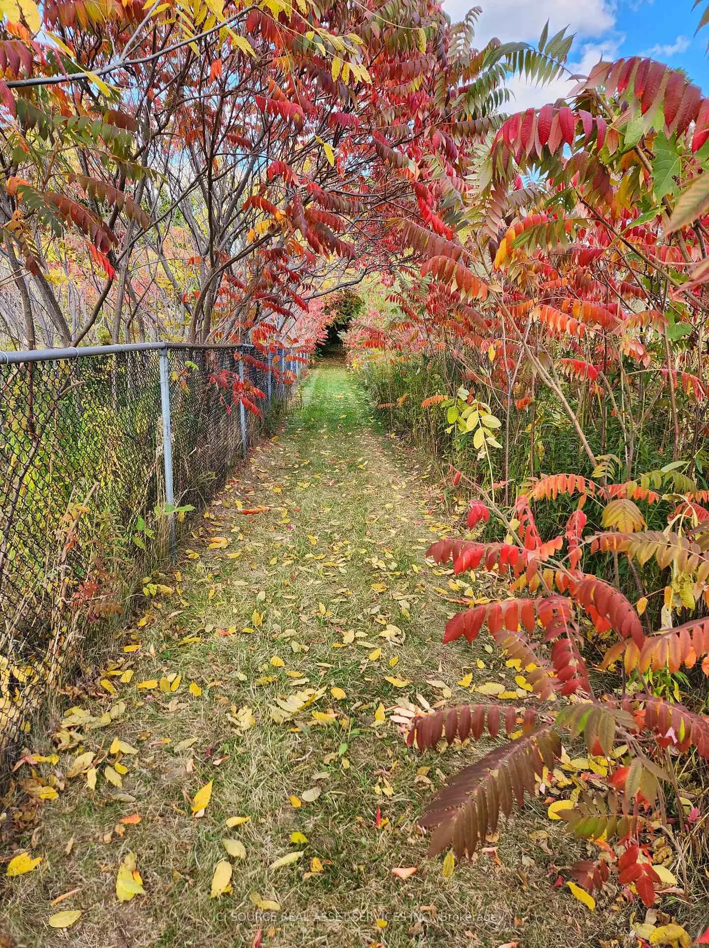 Photo 18 of 8 Renwood Place, Hamilton, Waterdown — HOMEH