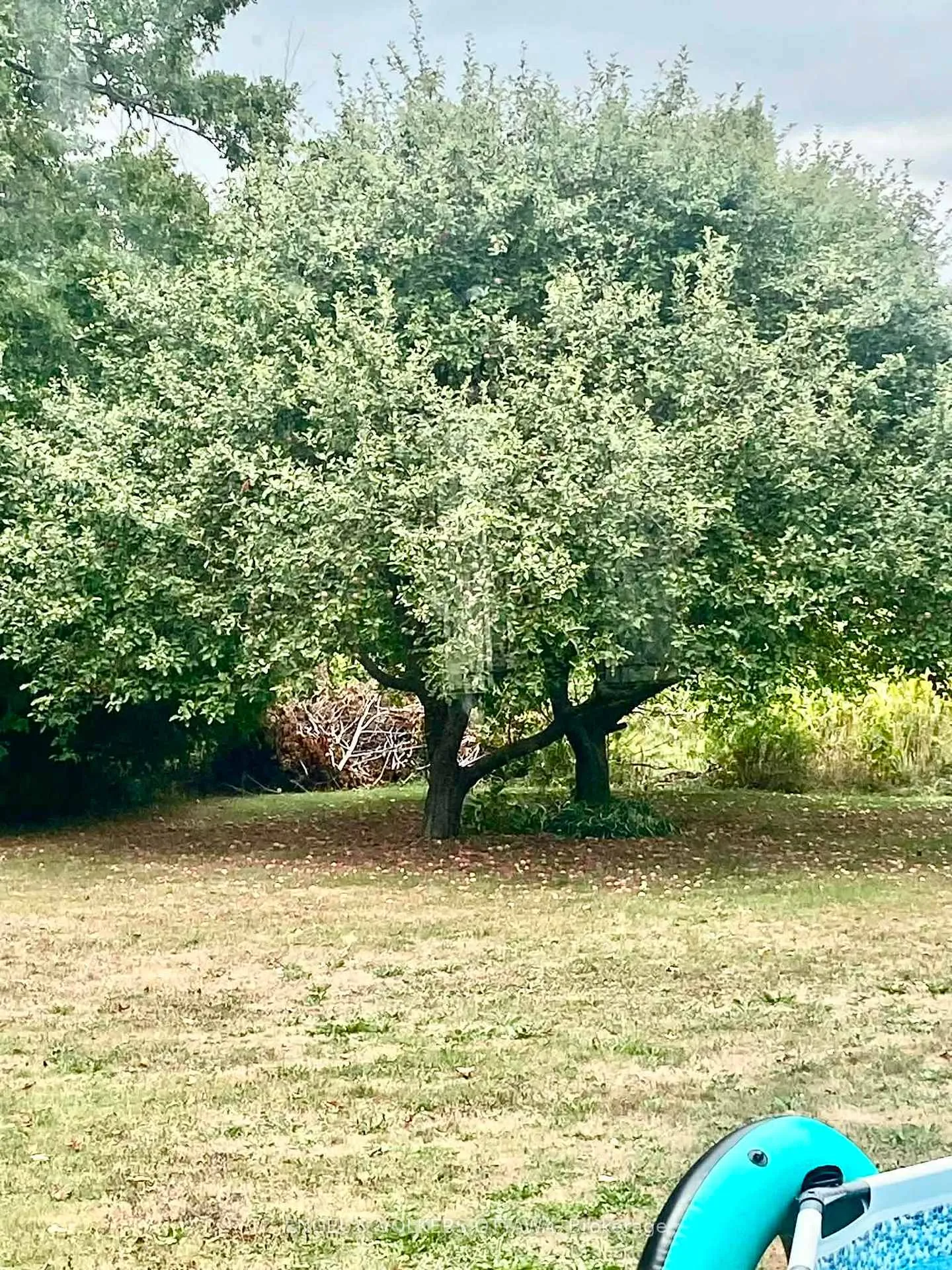 Photo 43 of 2963 Roger Stevens Drive E, Ottawa, Rideau Twp South To Roger Stevens Drive — HOMEH