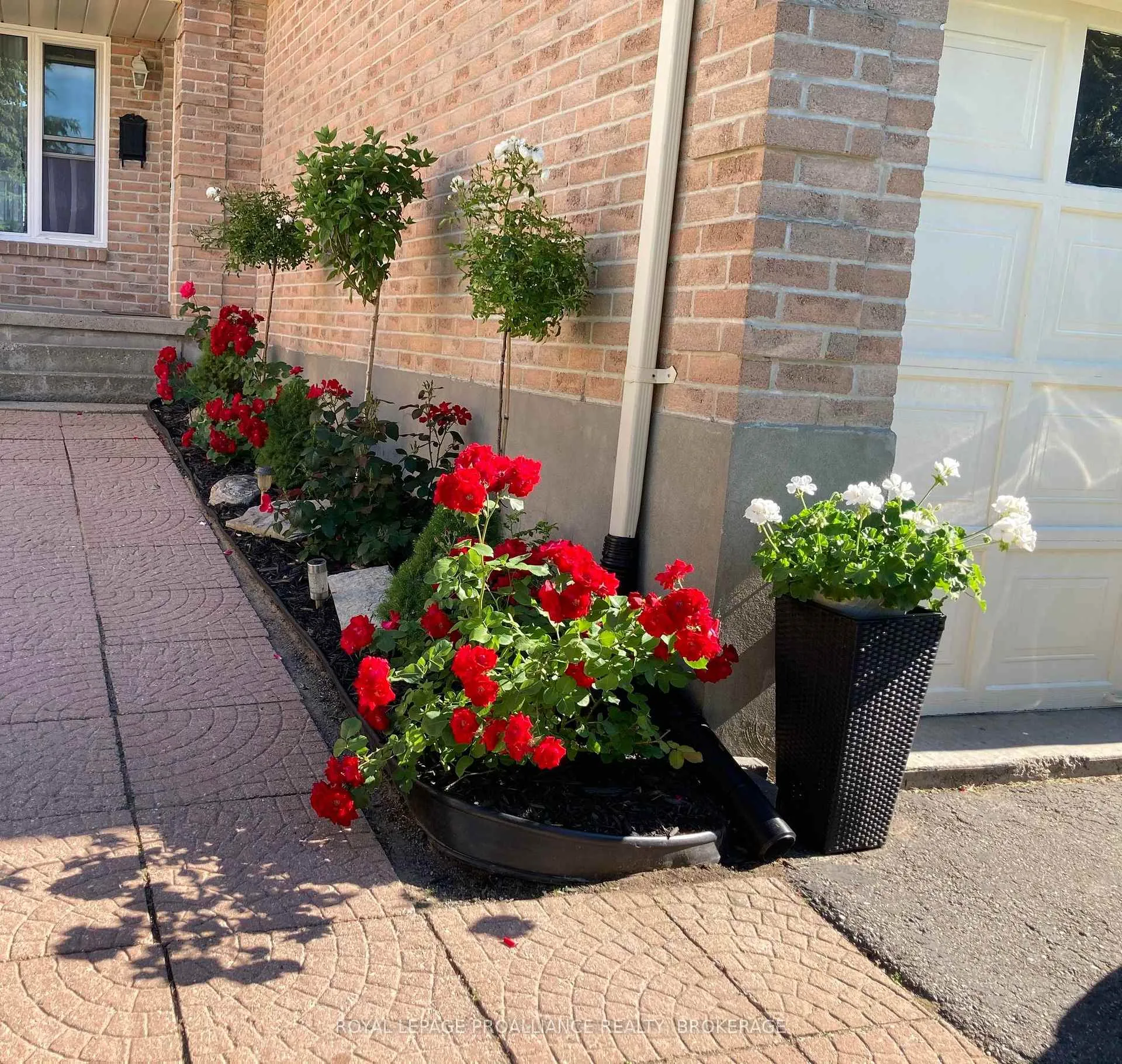 Photo 39 of 4 Balmoral Court, Kingston, West of Sir John A. Blvd — HOMEH
