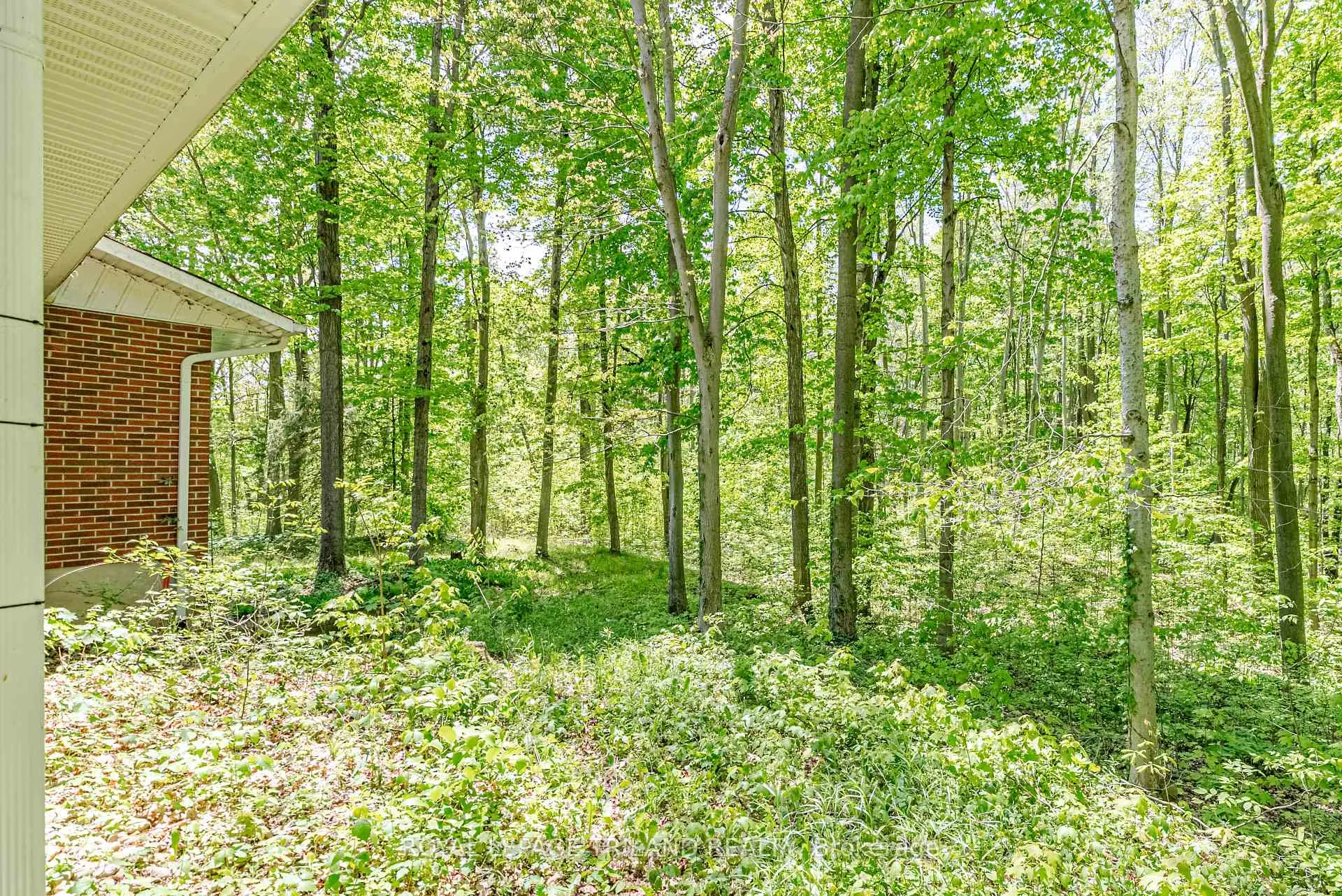 Photo 43 of 1591 Elgin Road, Thames Centre, Rural Thames Centre — HOMEH