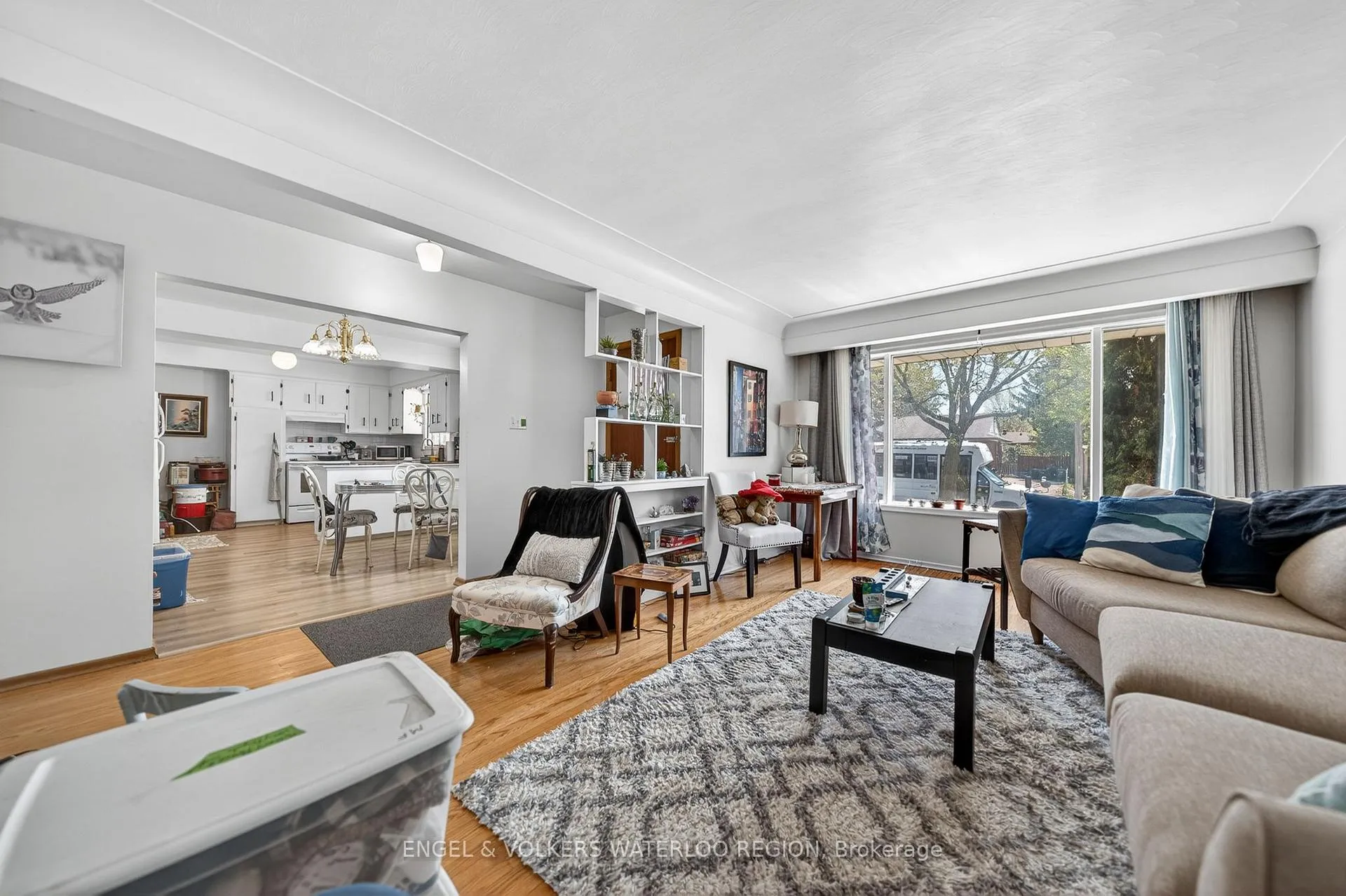 Photo 8 of 66 Carrol Street, Waterloo — HOMEH