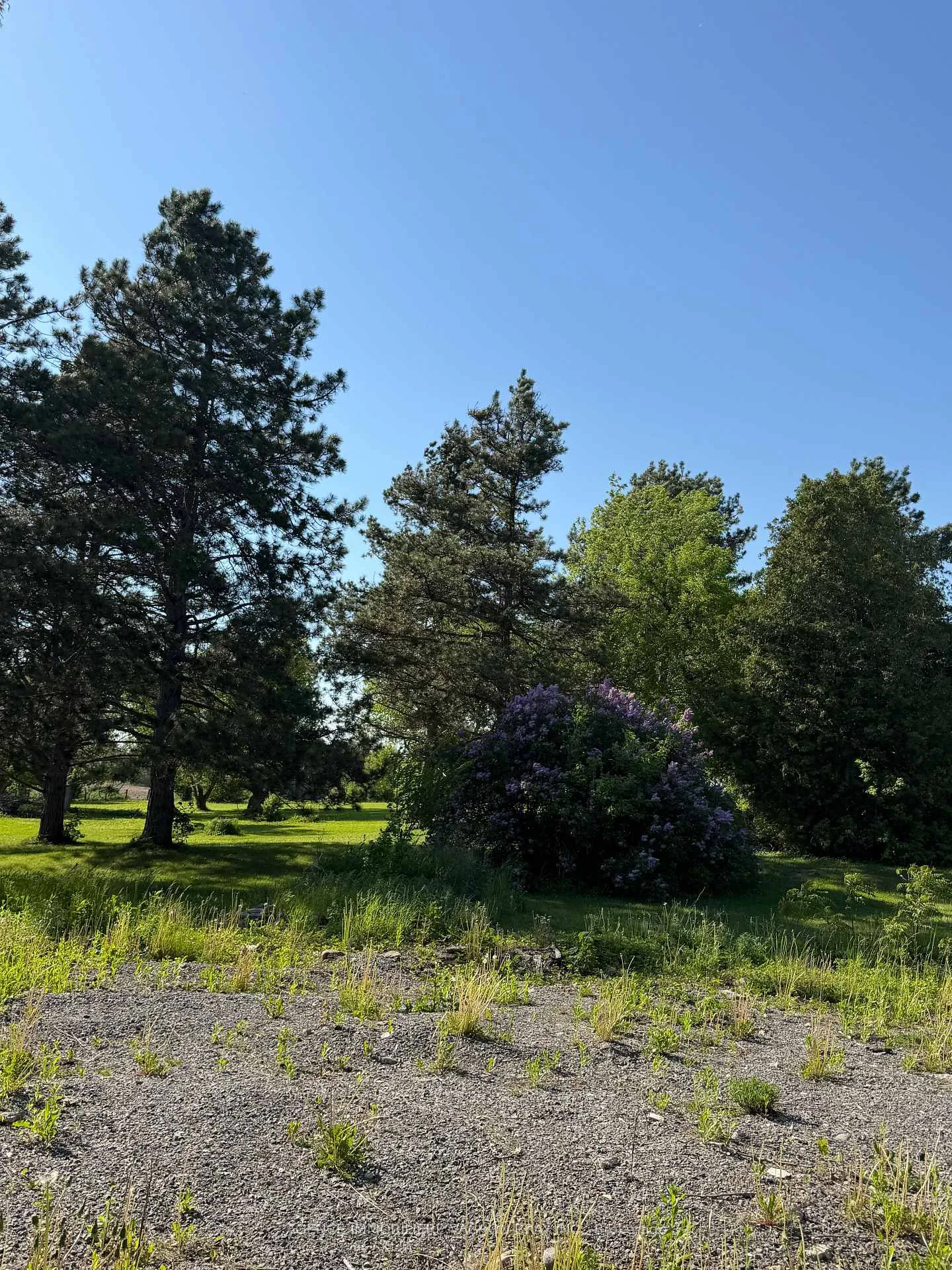 Photo 4 of 21231 Conc 6 Road, South Glengarry, South Glengarry (Lancaster) Twp — HOMEH