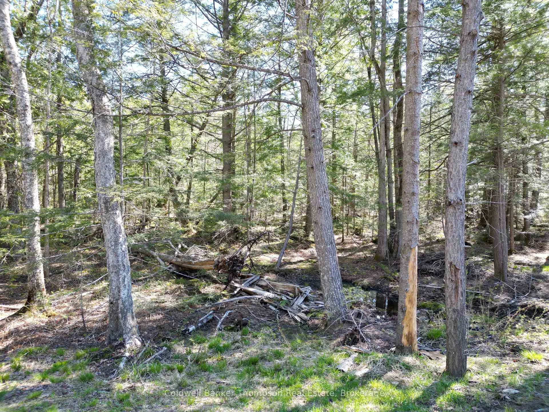 Photo 33 of 4612 Ravenscliffe Road, McMurrich/Monteith, McMurrich — HOMEH