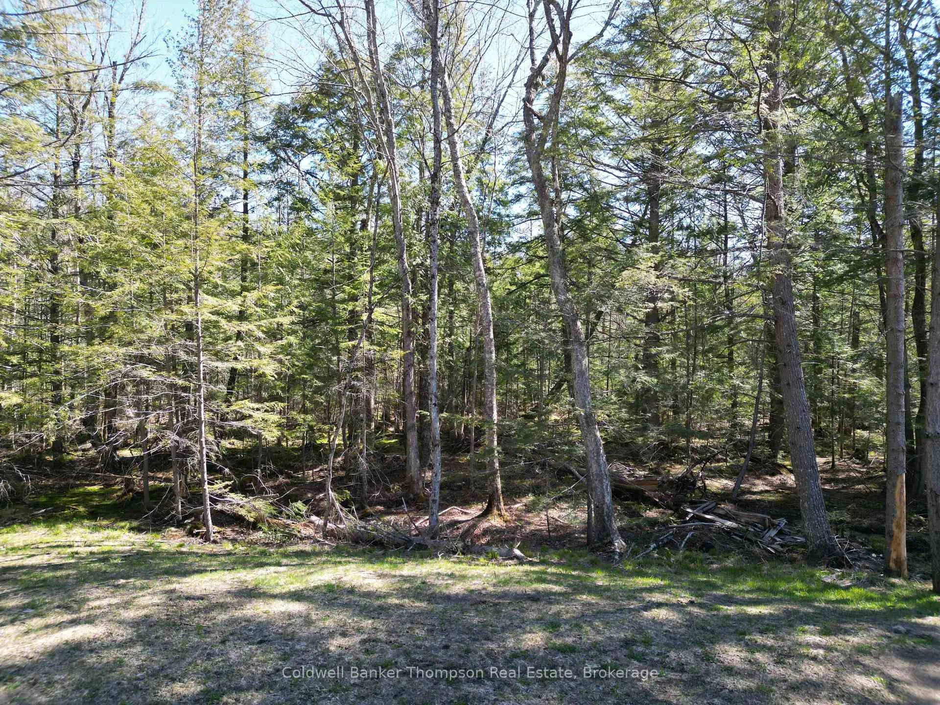 Photo 38 of 4612 Ravenscliffe Road, McMurrich/Monteith, McMurrich — HOMEH
