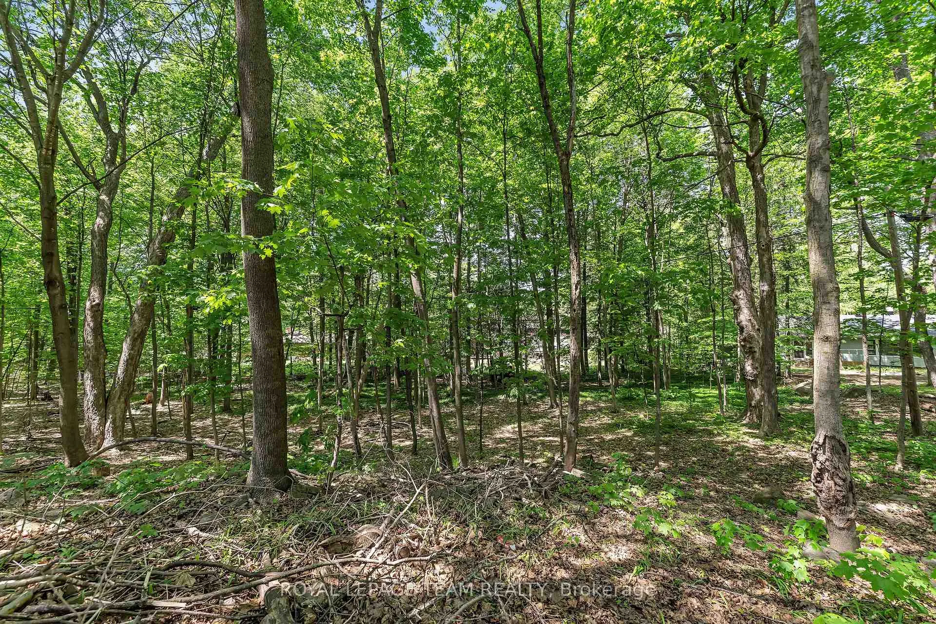 Photo 36 of 2 Fairhaven Way, Ottawa, CFB Rockcliffe and Area — HOMEH
