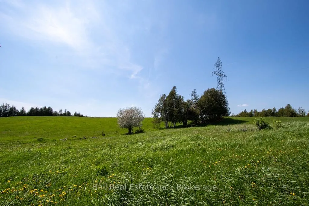 Photo 20 of 1168 County Rd 4, Douro-Dummer — HOMEH