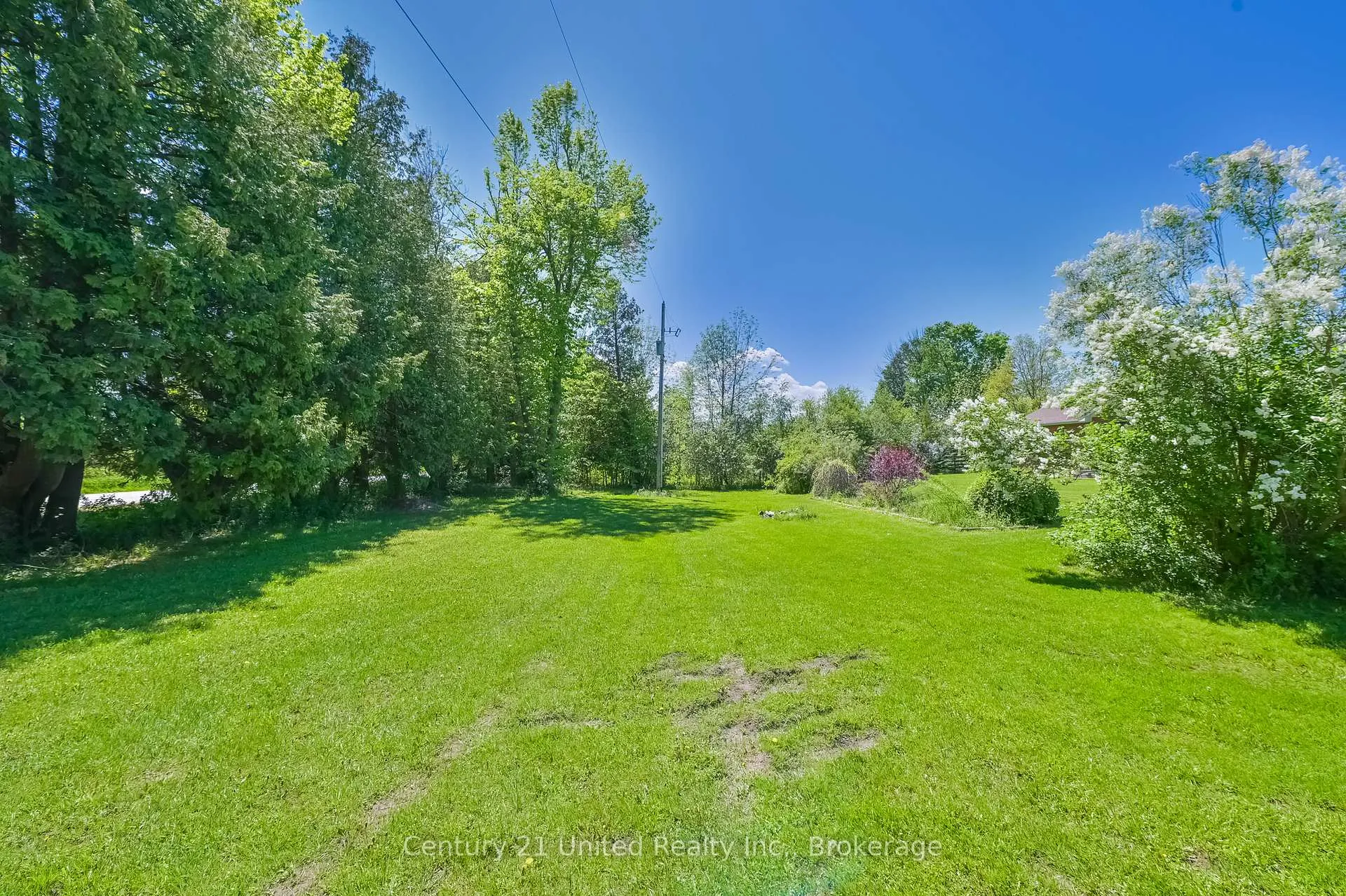 Photo 8 of 1592 12th Line Smith, Selwyn — HOMEH