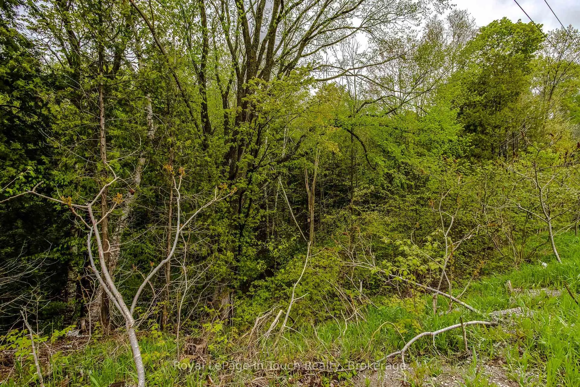 Photo 11 of Lot 1 Thunder Beach Road, Tiny, Rural Tiny — HOMEH
