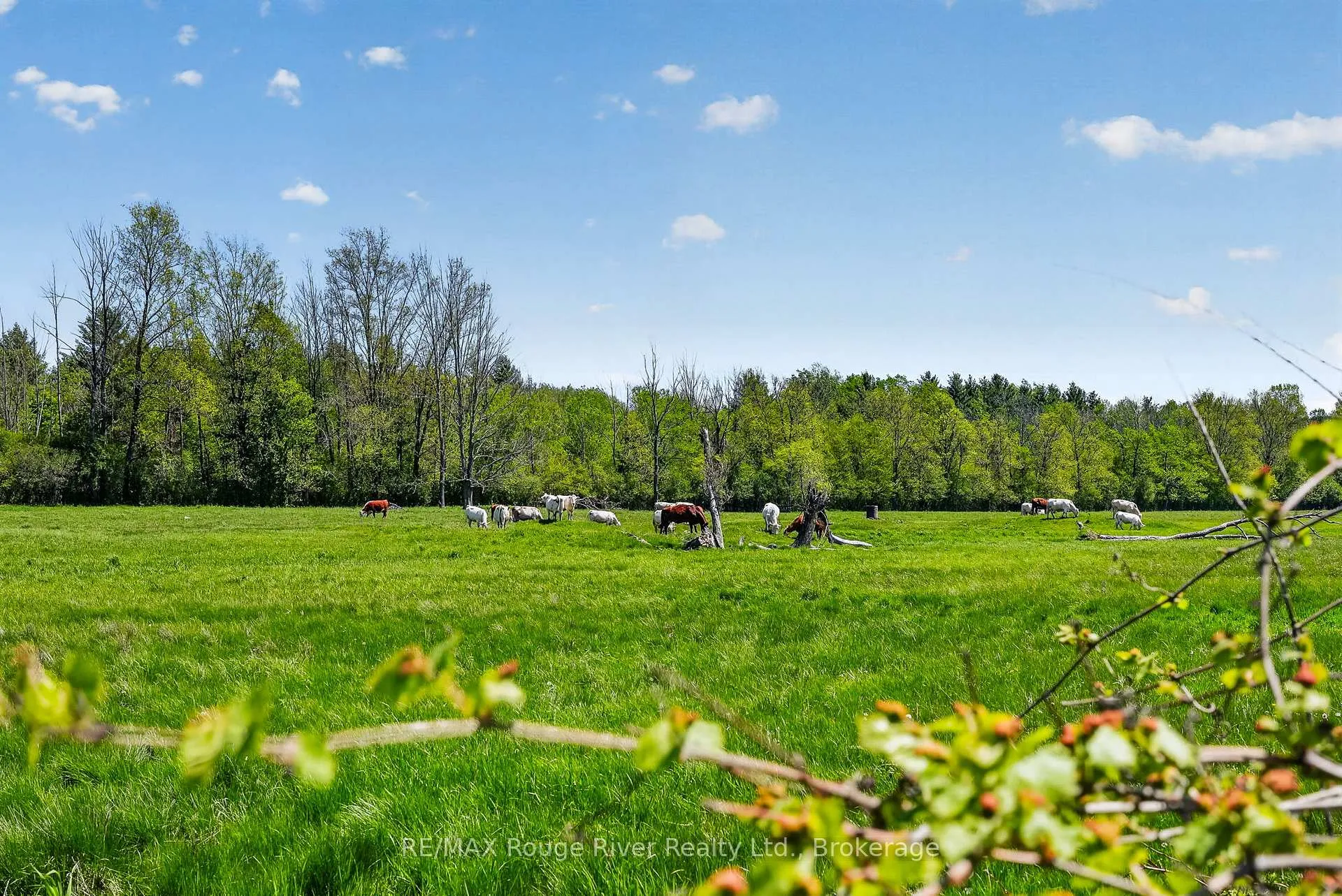 Photo 39 of 417 Bigford Road, Quinte West, Murray Ward — HOMEH
