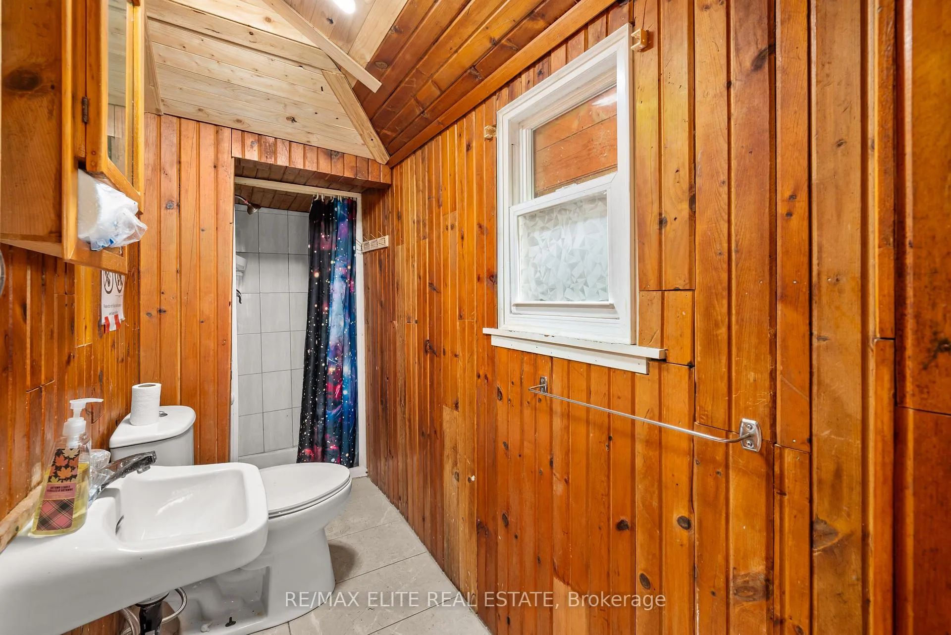 Photo 49 of 10 Alexander Avenue, Kawartha Lakes, Fenelon — HOMEH