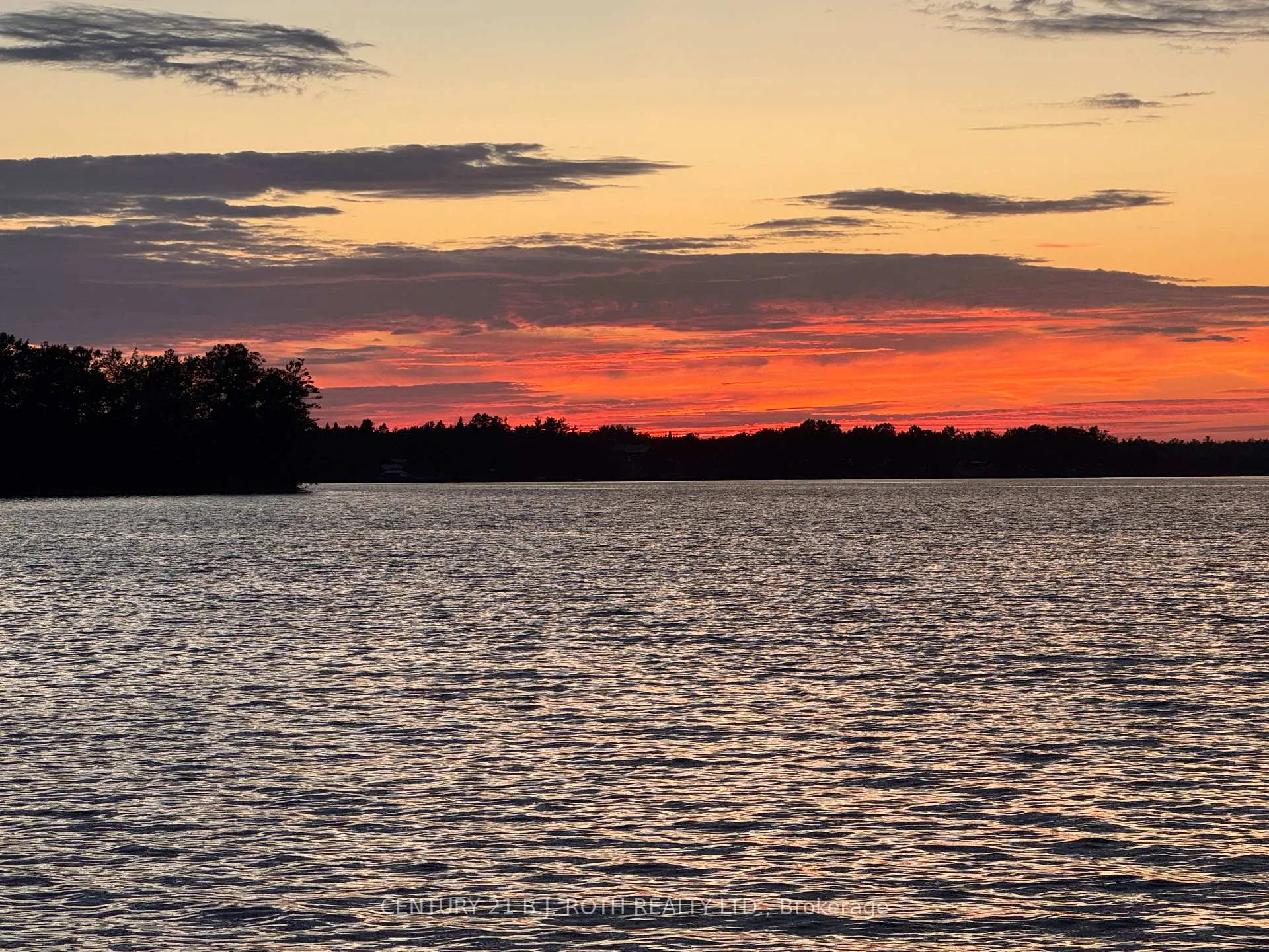 Photo 6 of 239 Avery Point Road, Kawartha Lakes, Carden — HOMEH