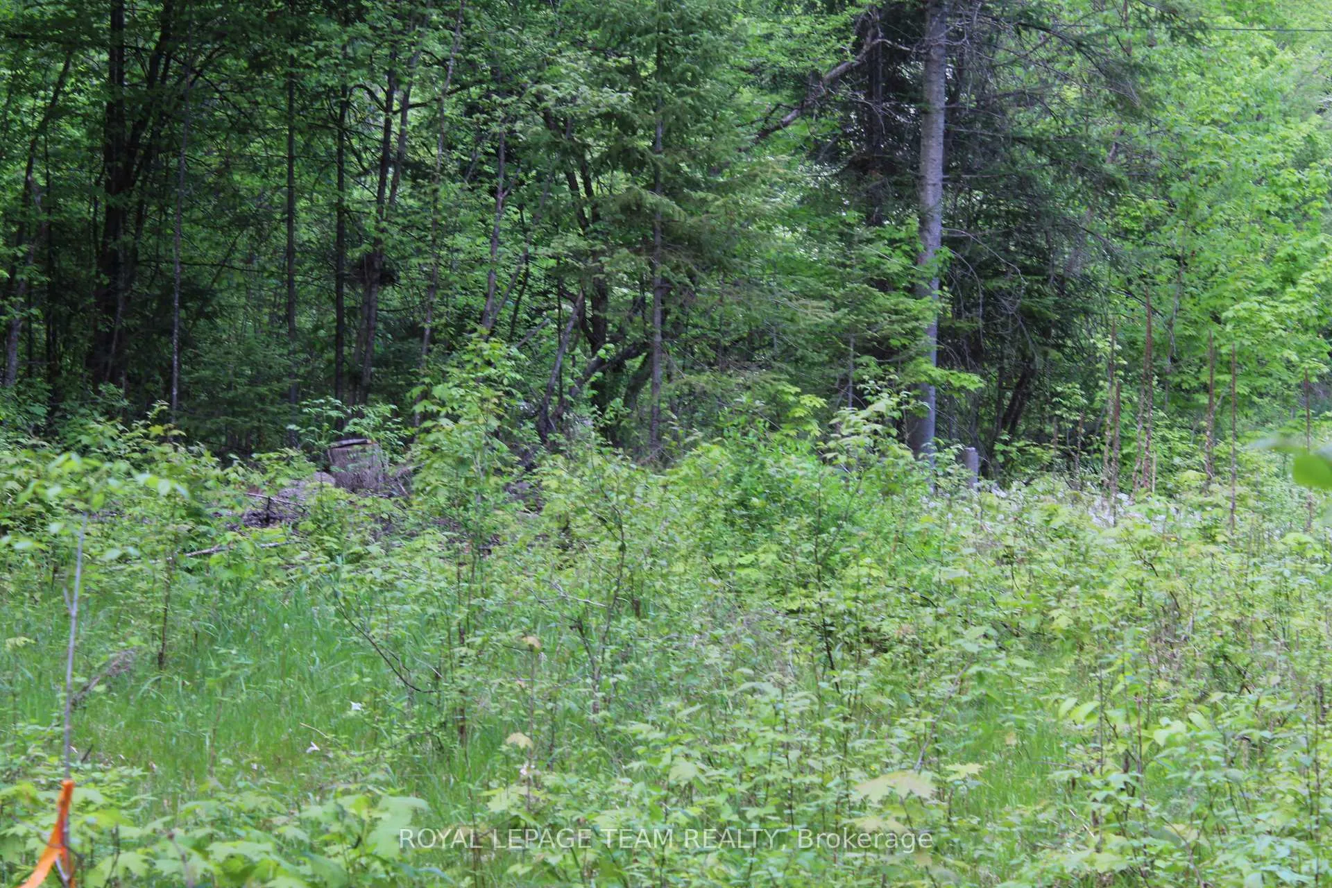 Photo 5 of 112 Mitchell Lane, McNab/Braeside, Mcnab/Braeside Twps — HOMEH