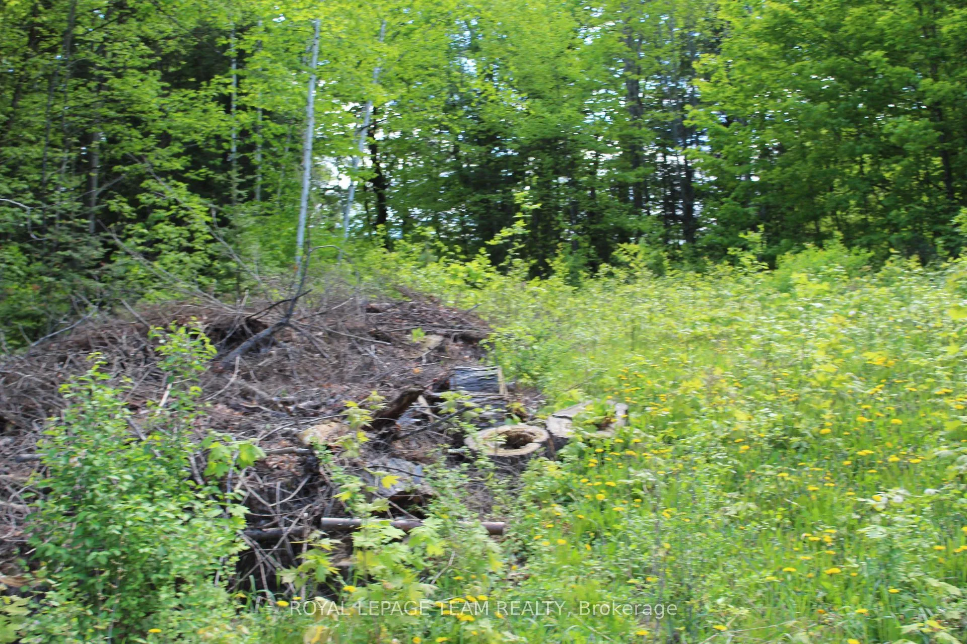 Photo 7 of 112 Mitchell Lane, McNab/Braeside, Mcnab/Braeside Twps — HOMEH