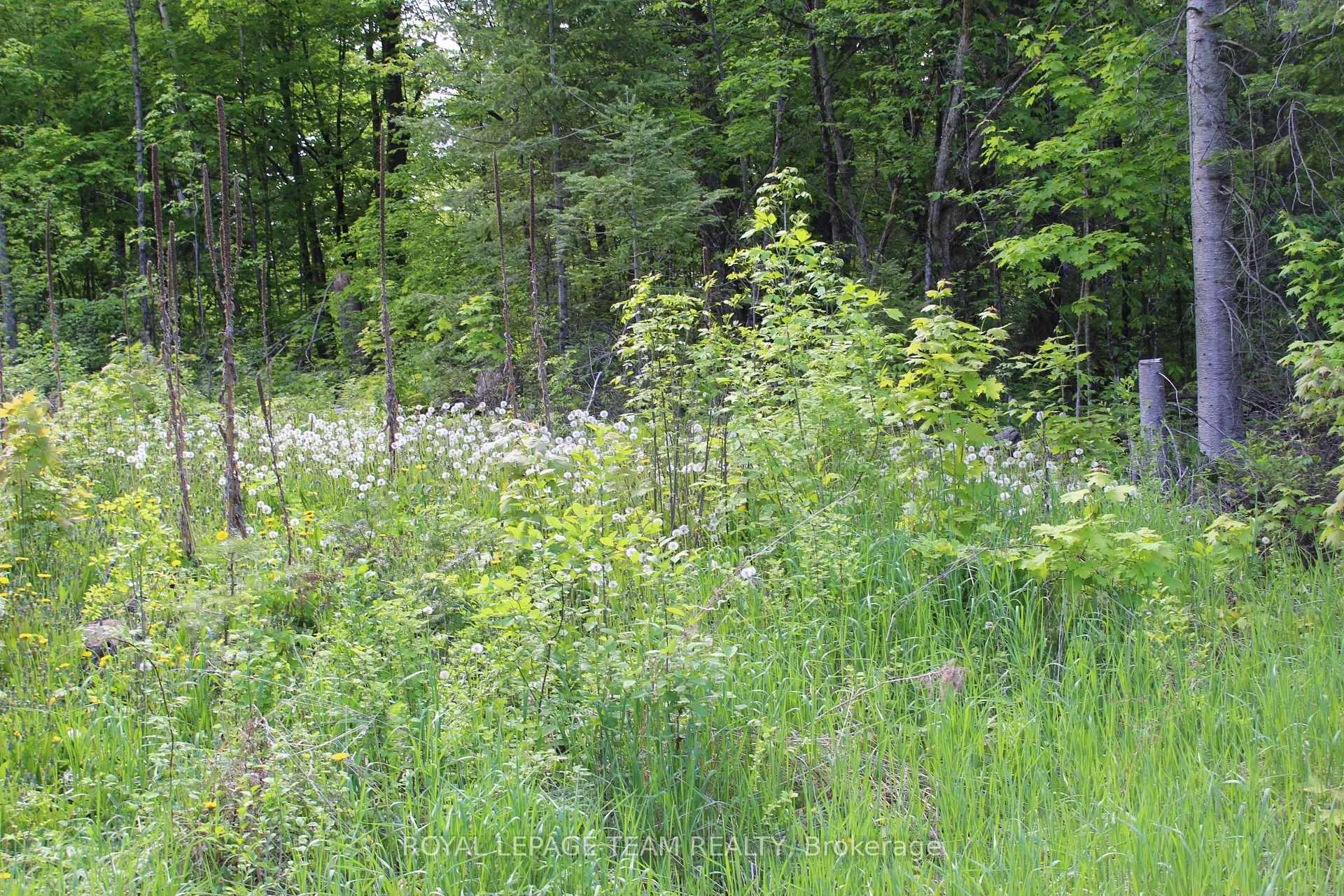 Photo 8 of 112 Mitchell Lane, McNab/Braeside, Mcnab/Braeside Twps — HOMEH