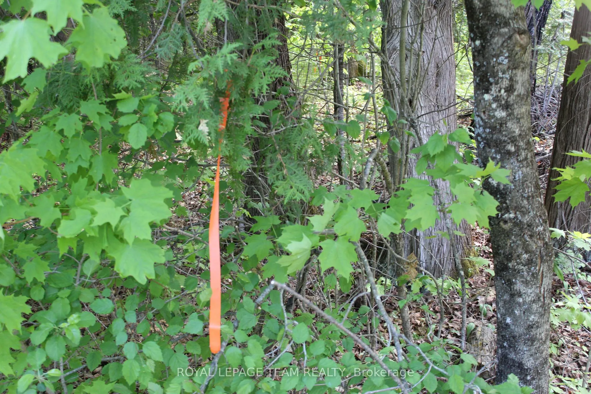Photo 9 of 112 Mitchell Lane, McNab/Braeside, Mcnab/Braeside Twps — HOMEH