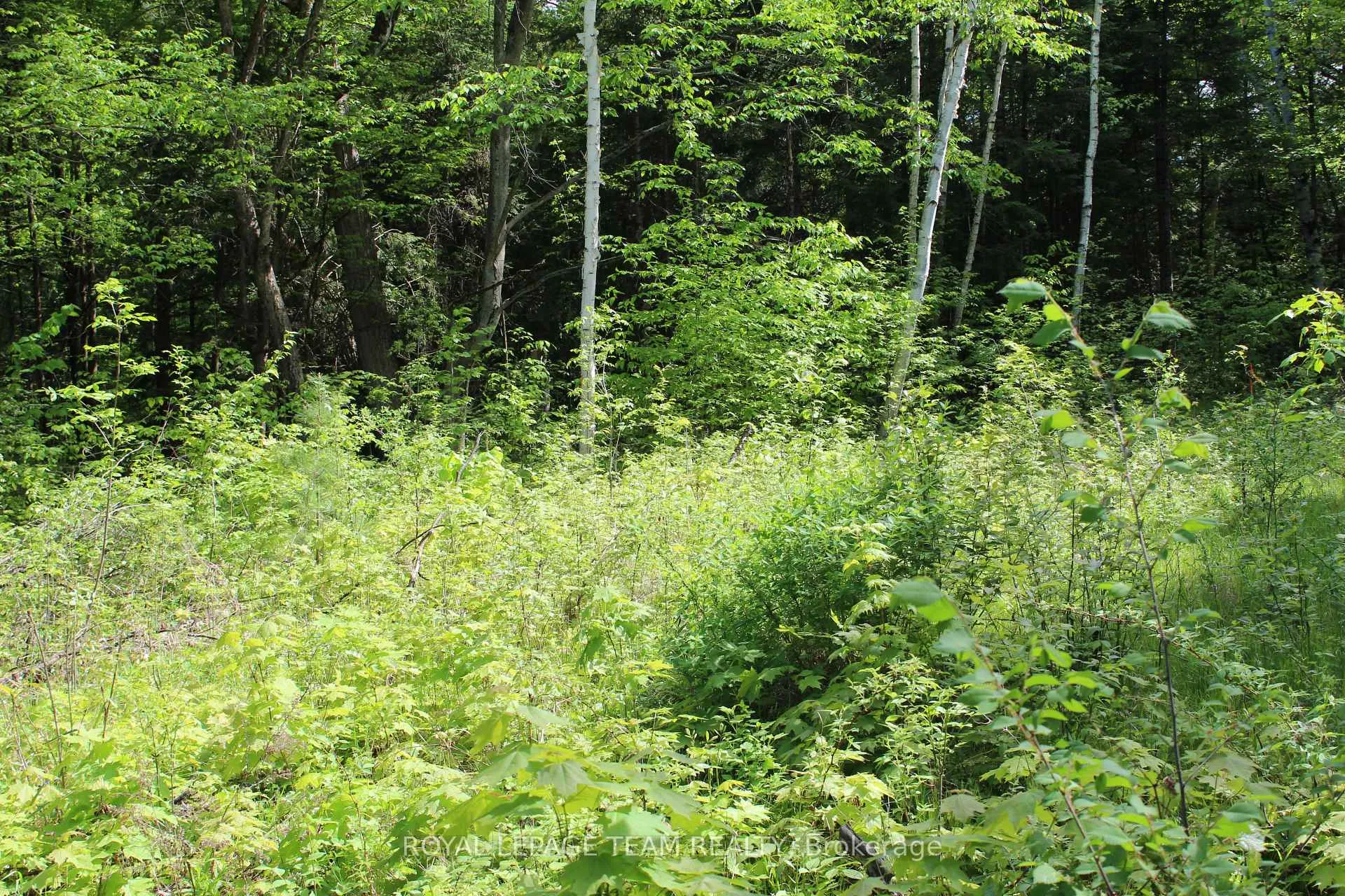 Photo 10 of 112 Mitchell Lane, McNab/Braeside, Mcnab/Braeside Twps — HOMEH