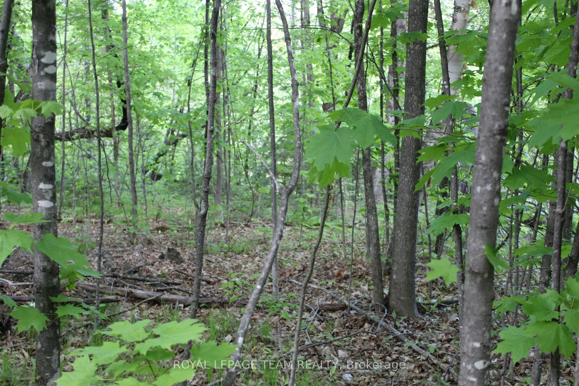 Photo 11 of 112 Mitchell Lane, McNab/Braeside, Mcnab/Braeside Twps — HOMEH