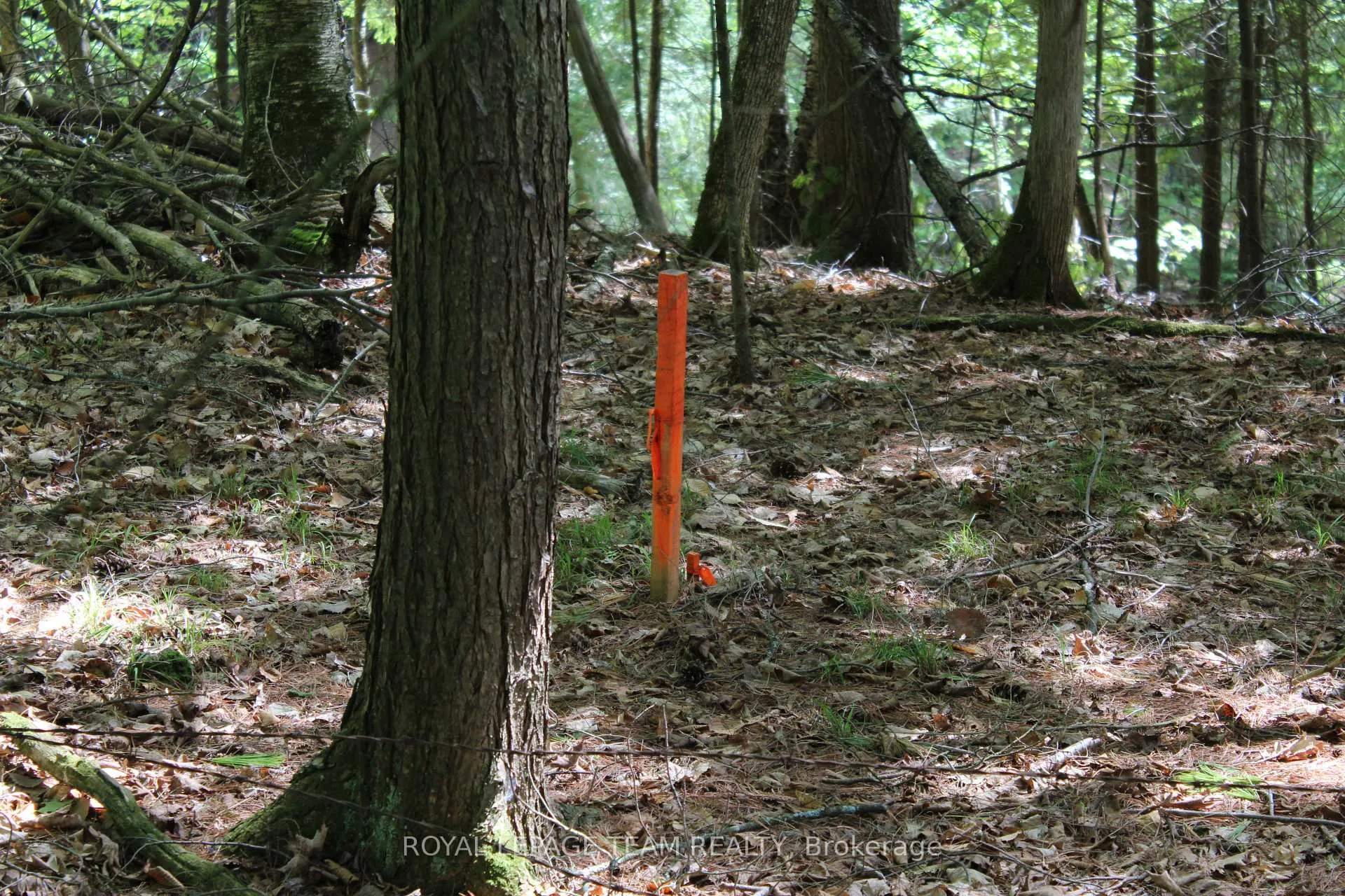 Photo 14 of 112 Mitchell Lane, McNab/Braeside, Mcnab/Braeside Twps — HOMEH