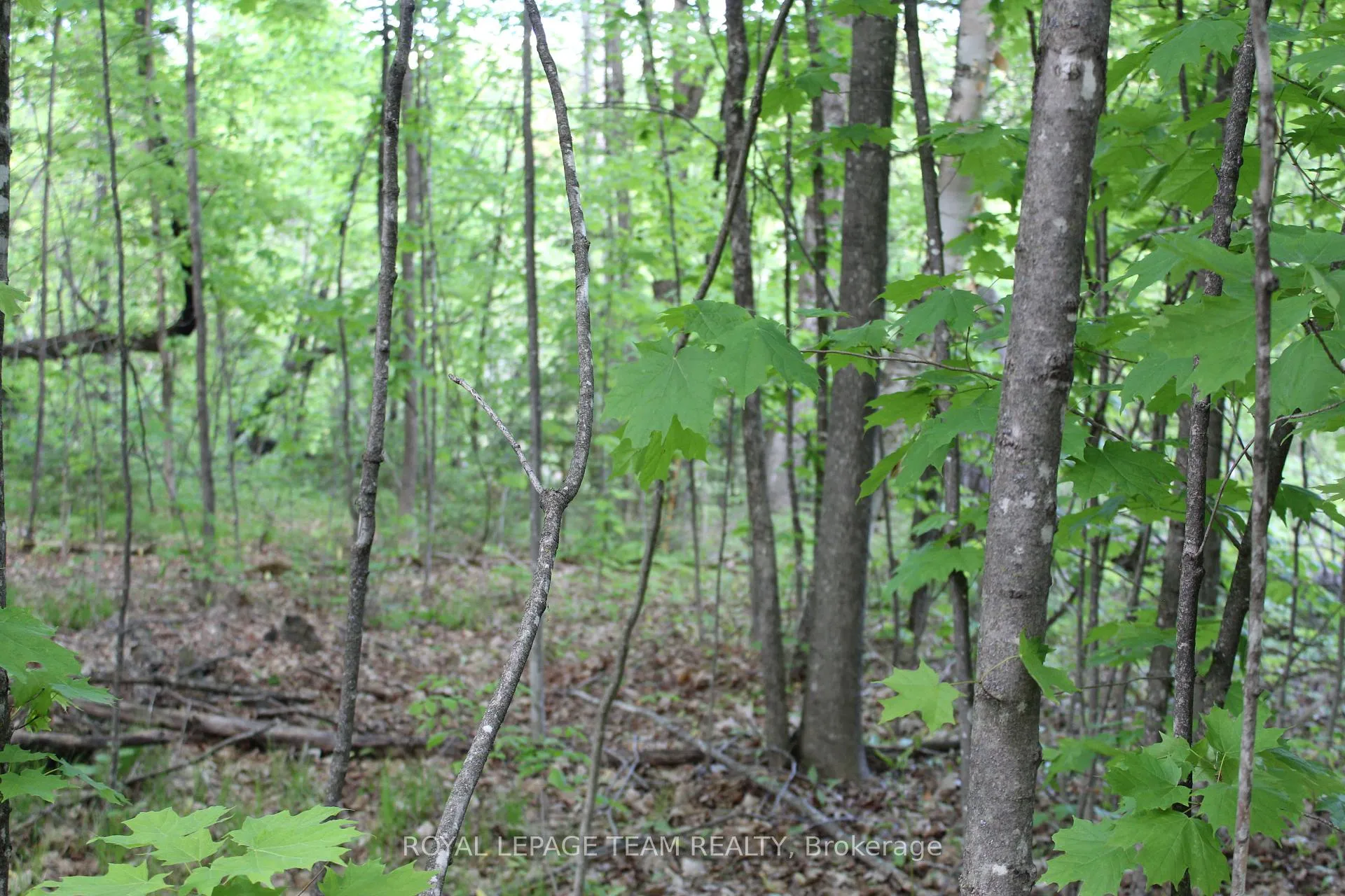 Photo 15 of 112 Mitchell Lane, McNab/Braeside, Mcnab/Braeside Twps — HOMEH