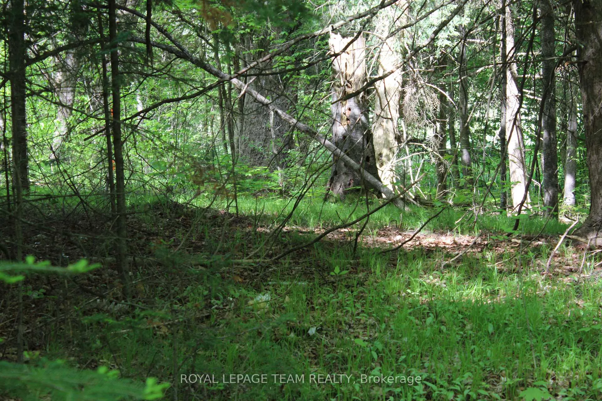 Photo 17 of 112 Mitchell Lane, McNab/Braeside, Mcnab/Braeside Twps — HOMEH