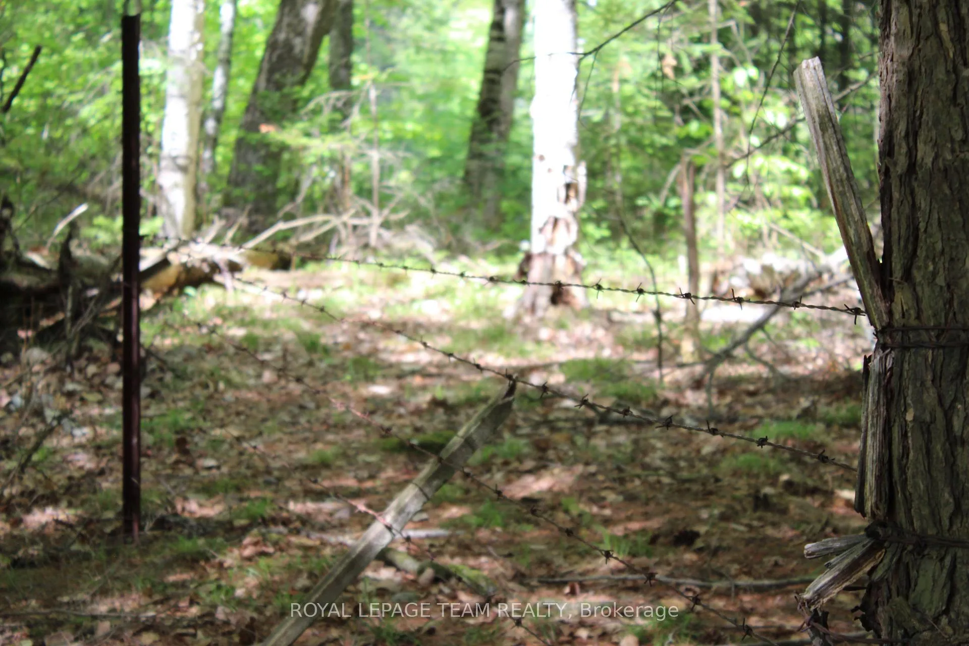 Photo 18 of 112 Mitchell Lane, McNab/Braeside, Mcnab/Braeside Twps — HOMEH