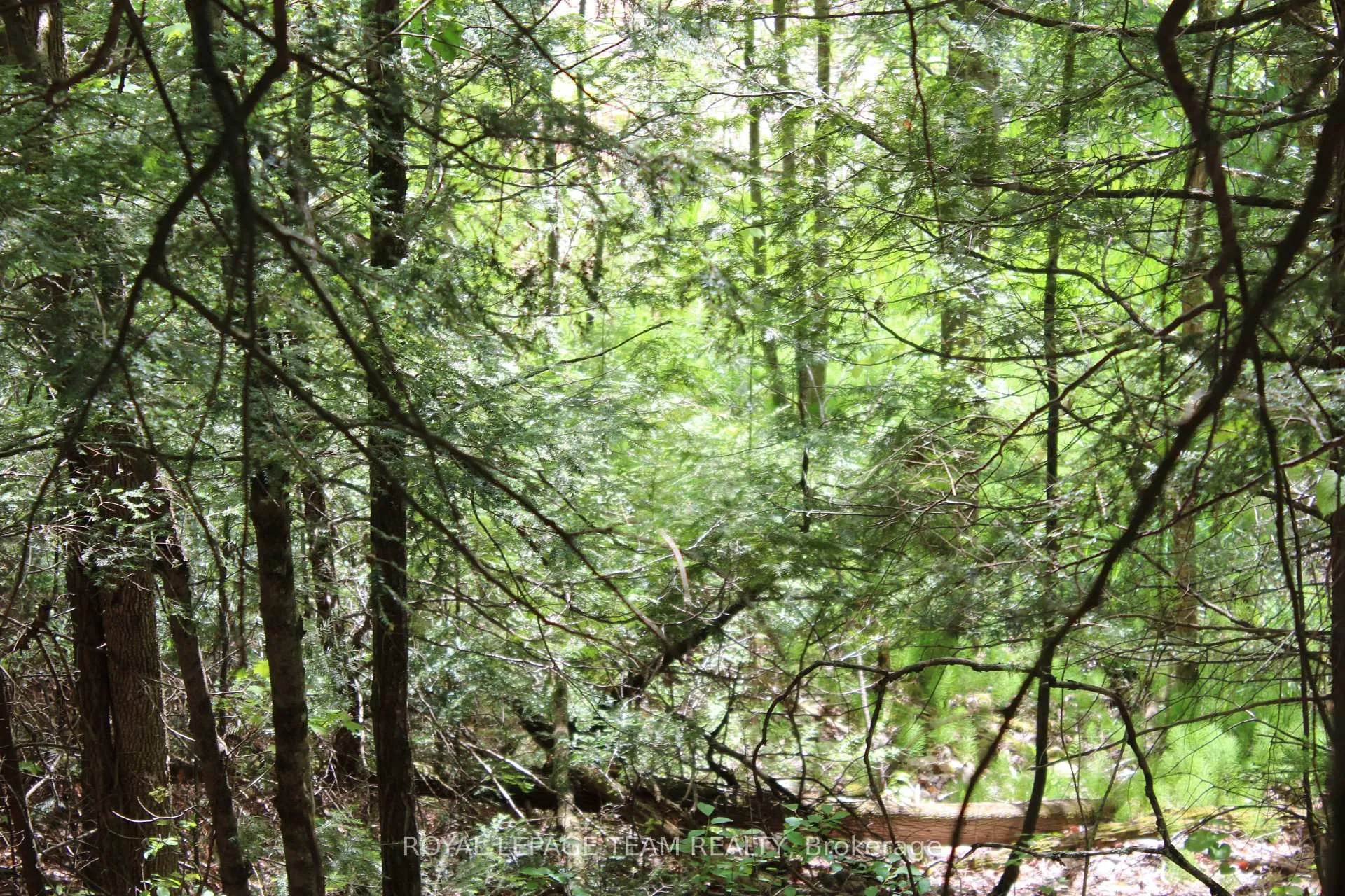 Photo 19 of 112 Mitchell Lane, McNab/Braeside, Mcnab/Braeside Twps — HOMEH