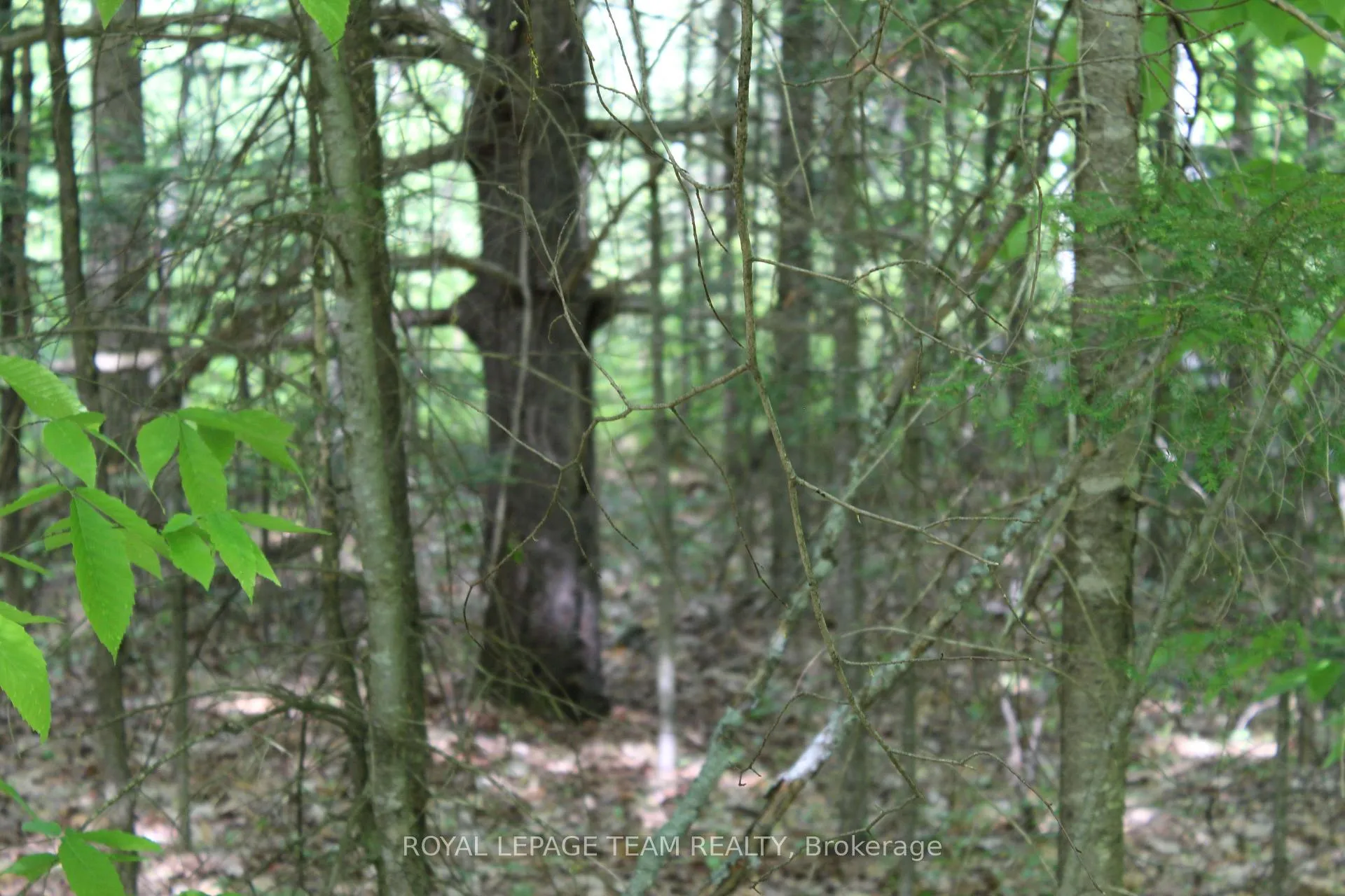 Photo 20 of 112 Mitchell Lane, McNab/Braeside, Mcnab/Braeside Twps — HOMEH