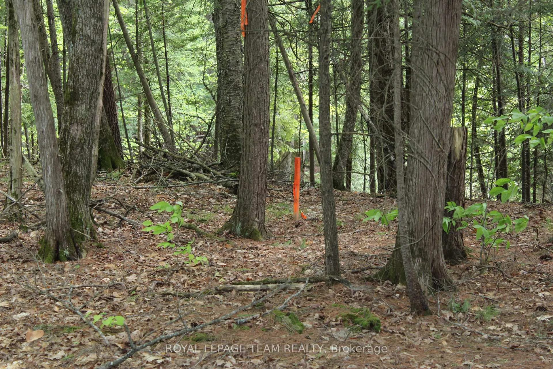 Photo 21 of 112 Mitchell Lane, McNab/Braeside, Mcnab/Braeside Twps — HOMEH