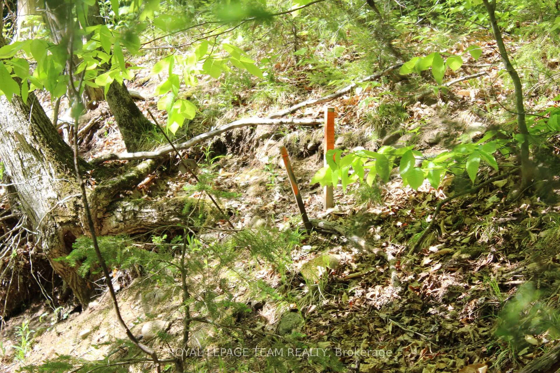 Photo 23 of 112 Mitchell Lane, McNab/Braeside, Mcnab/Braeside Twps — HOMEH
