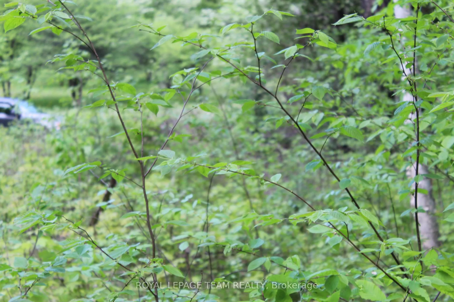 Photo 26 of 112 Mitchell Lane, McNab/Braeside, Mcnab/Braeside Twps — HOMEH