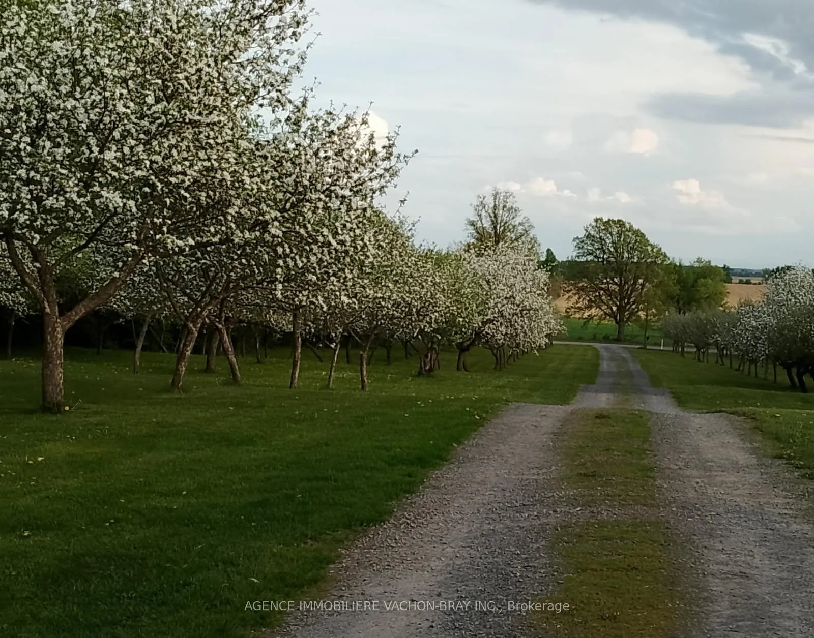 Photo 6 of 21237 Conc 6 Road, South Glengarry, South Glengarry (Lancaster) Twp — HOMEH