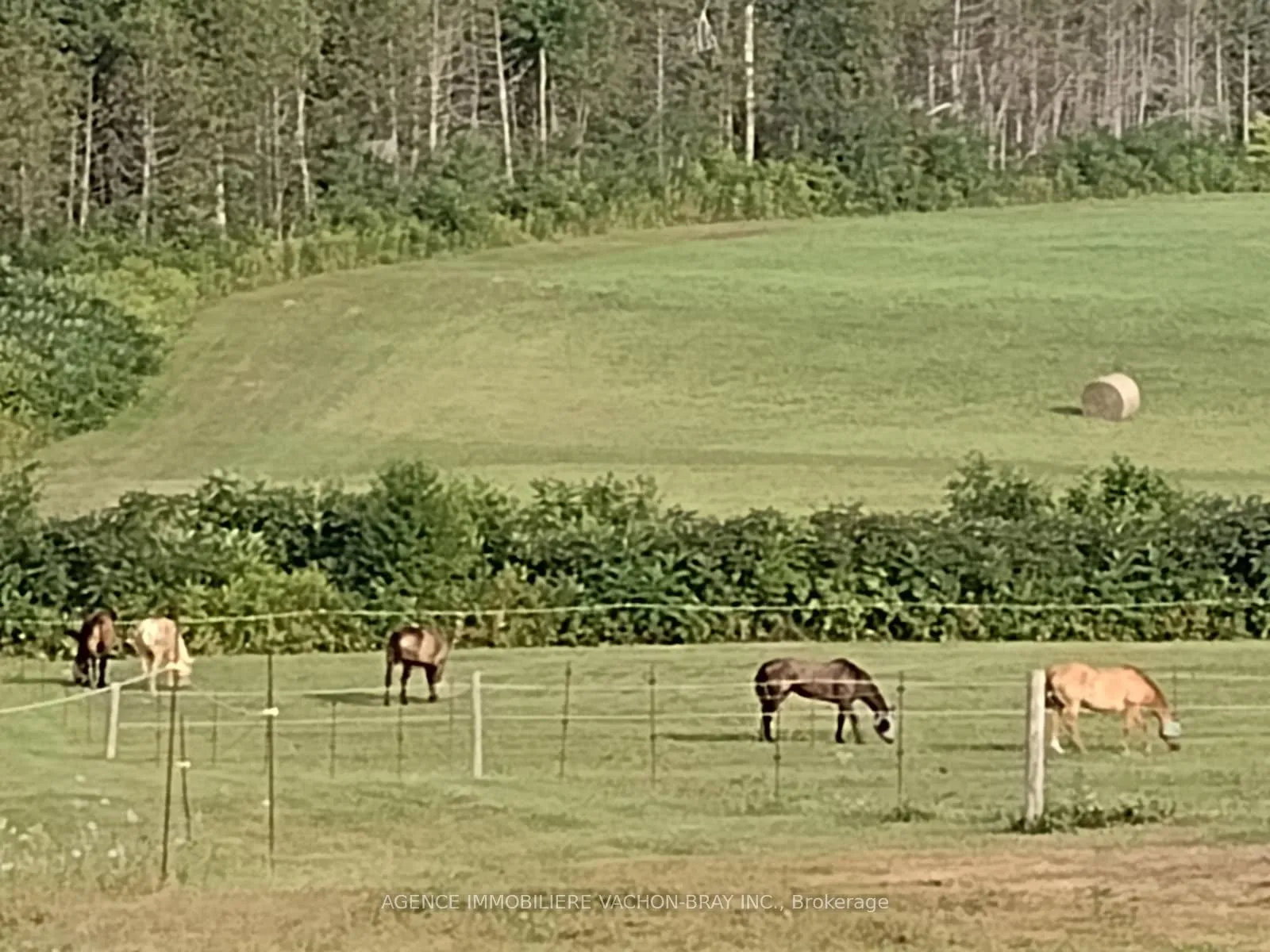 Photo 4 of 21237 Conc 6 Road, South Glengarry, South Glengarry (Lancaster) Twp — HOMEH