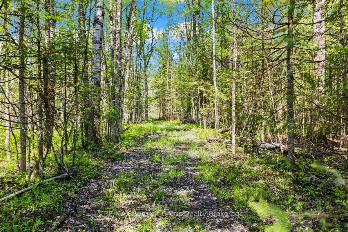 Photo 6 of PT LT 1-2 Concession Road 3, Georgian Bluffs — HOMEH