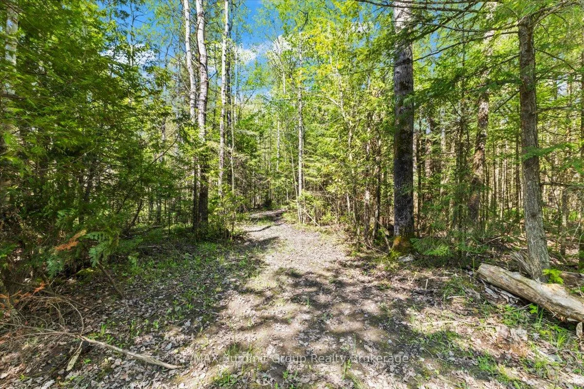 Photo 8 of PT LT 1-2 Concession Road 3, Georgian Bluffs — HOMEH